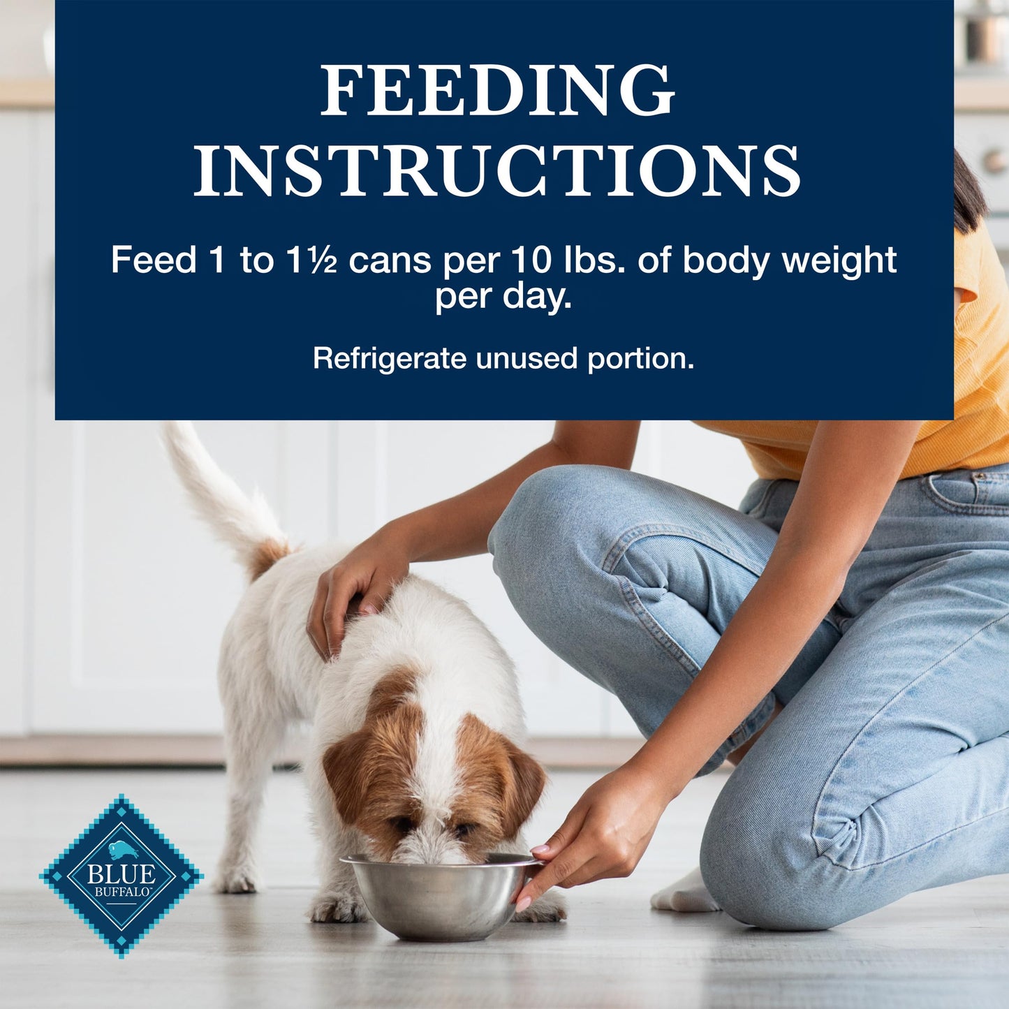 Blue Buffalo Homestyle Recipe Natural Adult Healthy Weight Wet Dog Food, Chicken 12.5-oz can (Pack of 12)