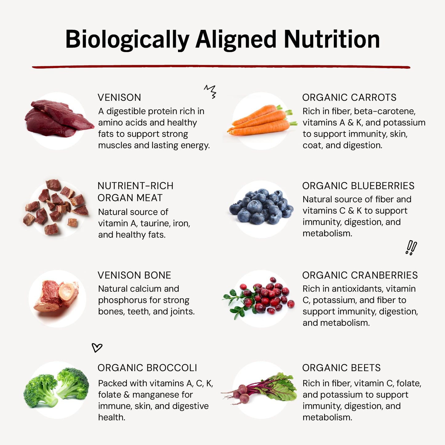 Stella & Chewy's Freeze-Dried Raw Dinner Patties - Venison Blend Recipe - High Protein Grain-Free Puppy & Dog Food - Perfect For Picky Eaters - 5.5 oz