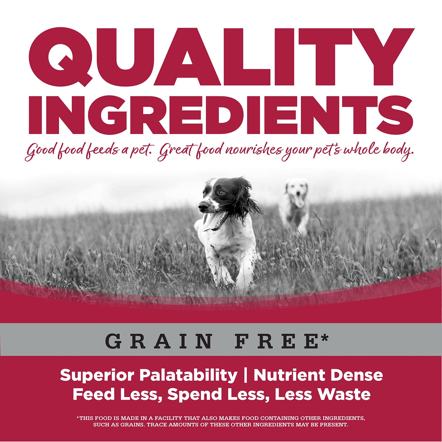 Grain Free Seafood Select Dry Dog Food Size: 5-Lb Bag