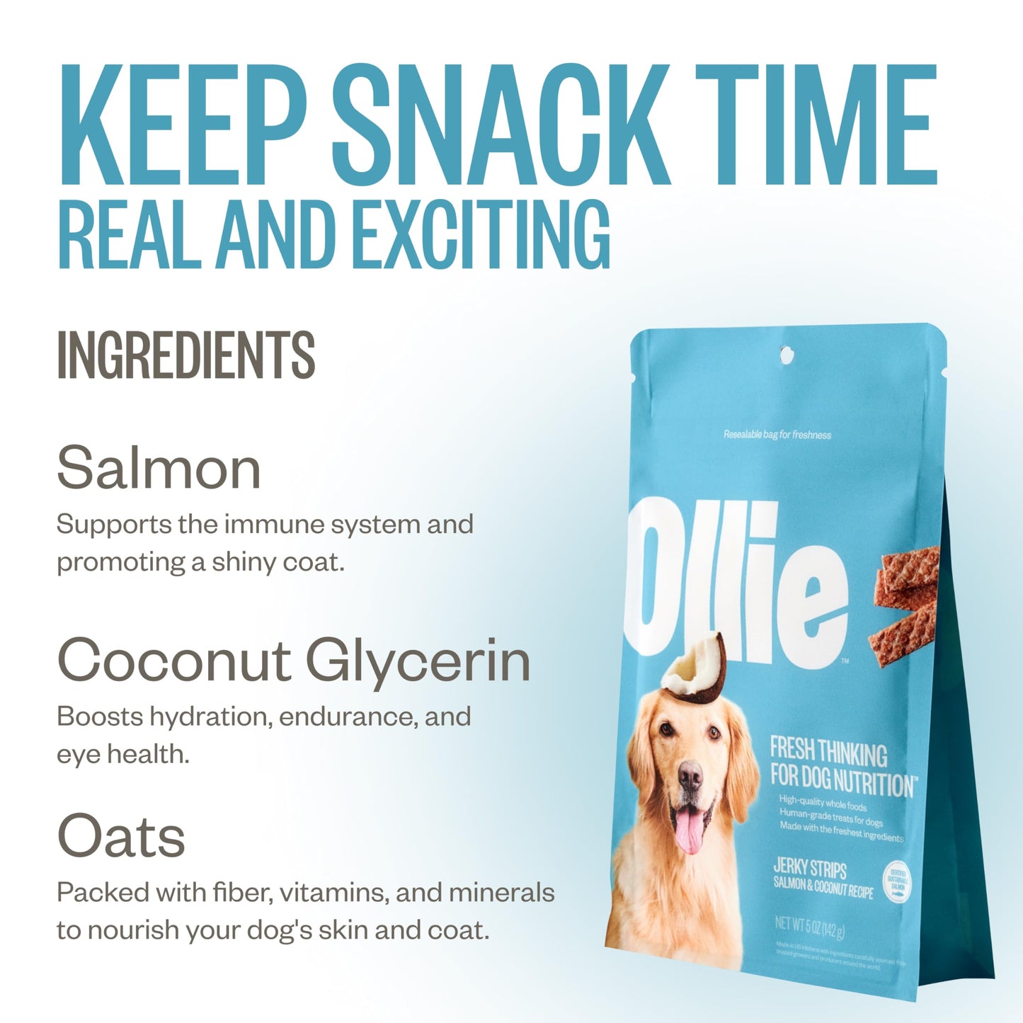 Ollie Salmon and Coconut Jerky Dog Treats, All Natural, Healthy Snacks, Made with Real Meat 5 Oz. Human Grade, Pack of 1, for Dogs
