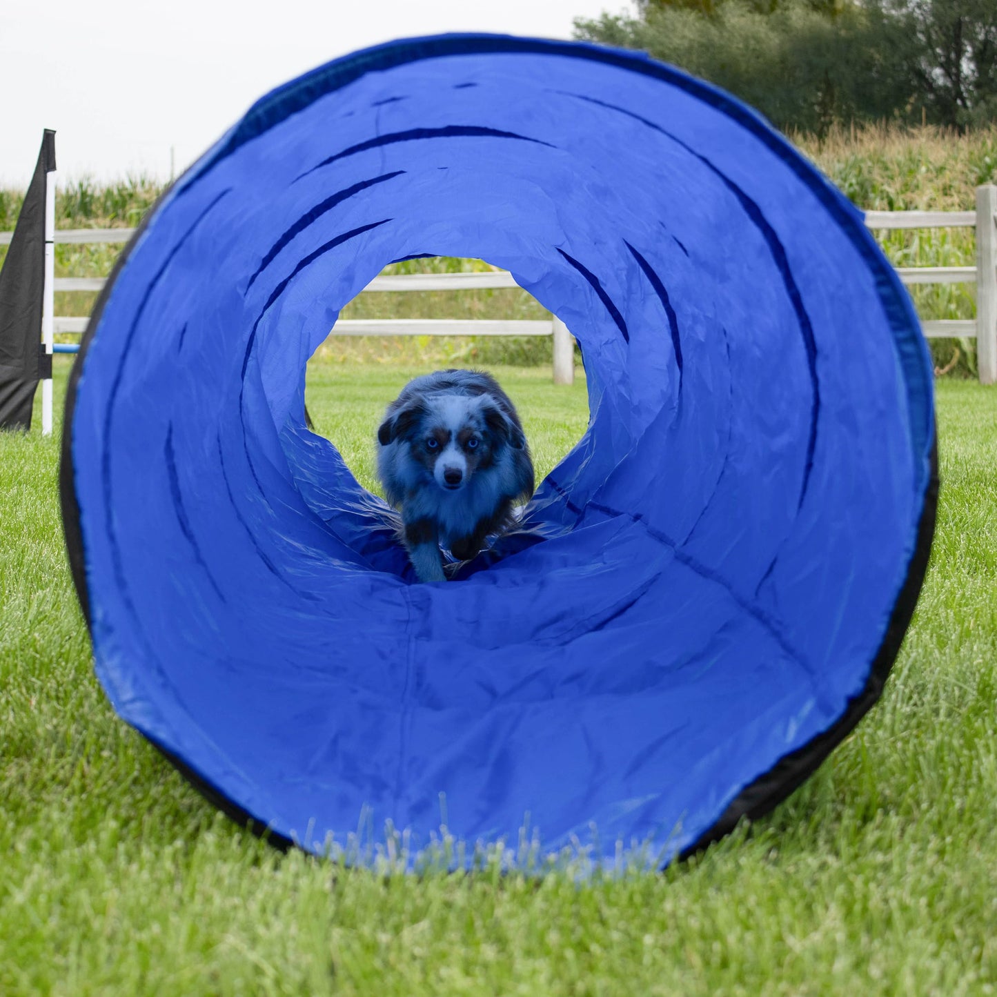 MiMu Dog Agility Equipment 10pc Obstacle Course - Customizable Dog Agility Training Equipment and Obstacle Course, Dog Agility Course Including Tunnels, Weave Poles, and Hurdles