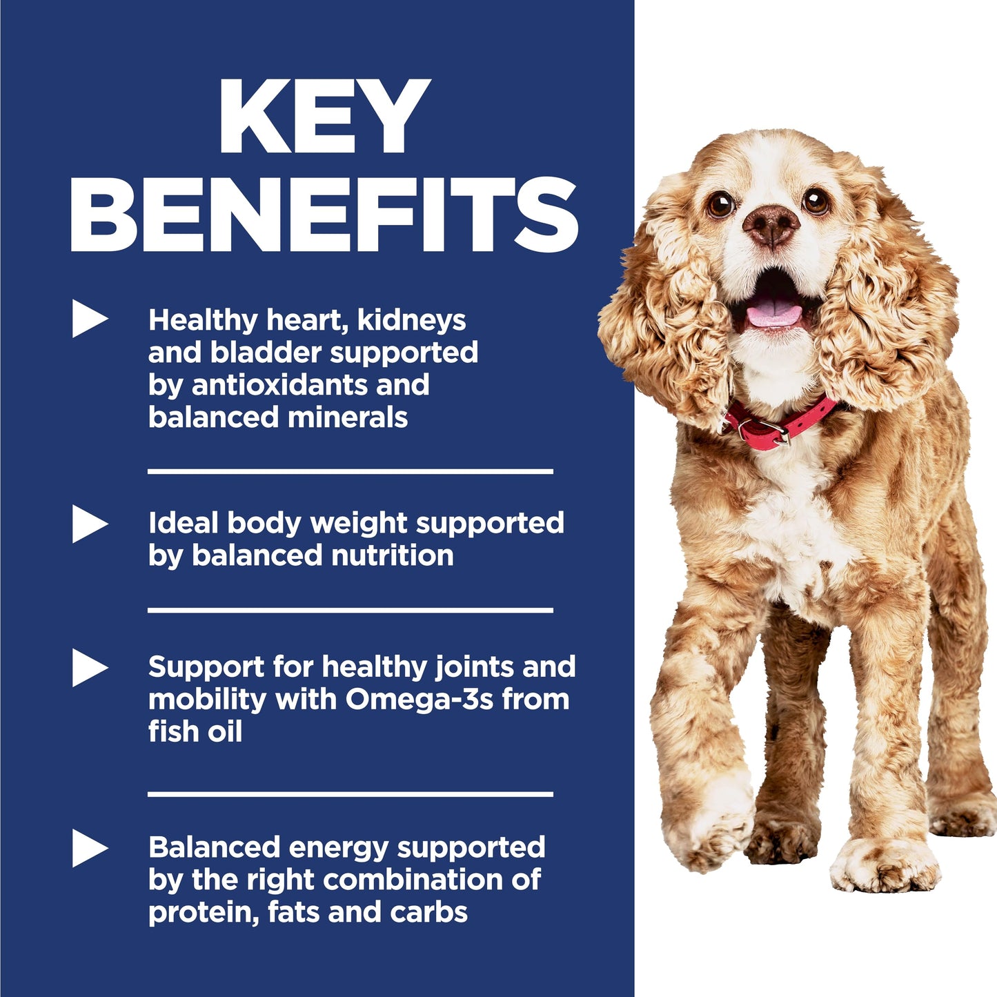 Hill's Science Diet Small & Mini, Senior Adult 11+, Small & Mini Breeds Senior Premium Nutrition, Dry Dog Food, Chicken, Brown Rice & Barley, 15.5 lb Bag