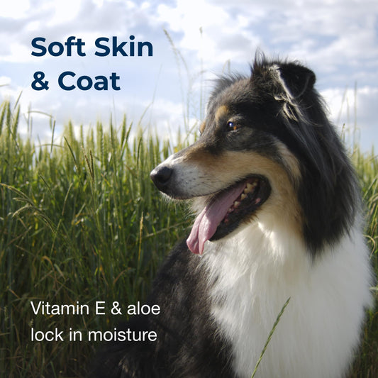 PetAg Fresh ‘n Clean Good Sport Deodorizing Shampoo for Dogs - 18 oz - Powerful, Odor-Control Formula with Aloe Vera & Vitamin E - Soap Free & Paraben Free