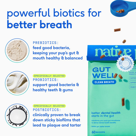 Native Pet GutWell Clean Breath - Dog Breath Freshener & Dog Dental Powder - Teeth Cleaning to Reduce Plaque & Tartar - Promotes Fresh Breath with Targeted Triple-biotic Dental Care Blend - 60 Scoops