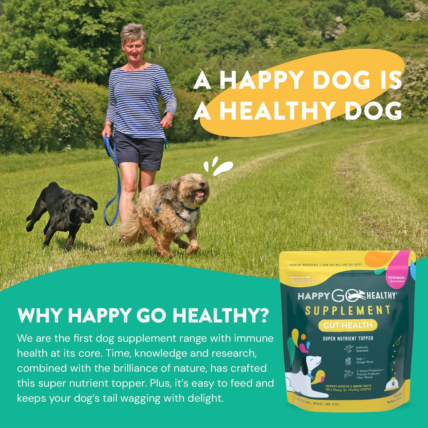 Happy Go Healthy Dog Gut Health Probiotics Supplement | Improves Digestive Health and Immune System Support for Dogs and Puppies | All Natural Ingredients Tasty Kibble Dog Food Topper | 120 Count Pack