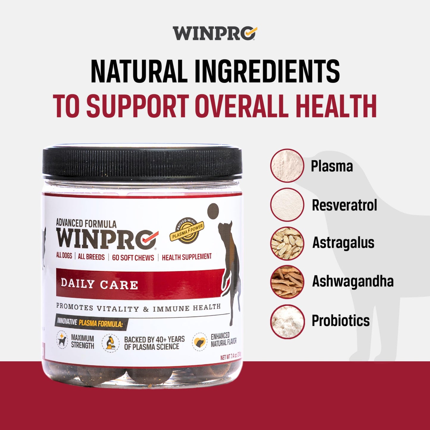 WINPRO Pet Daily Care Chews for Dogs, 60 Soft Chews, Plasma Powered, Grain Free Supplement for Dogs Providing Vitality and Immunity Support