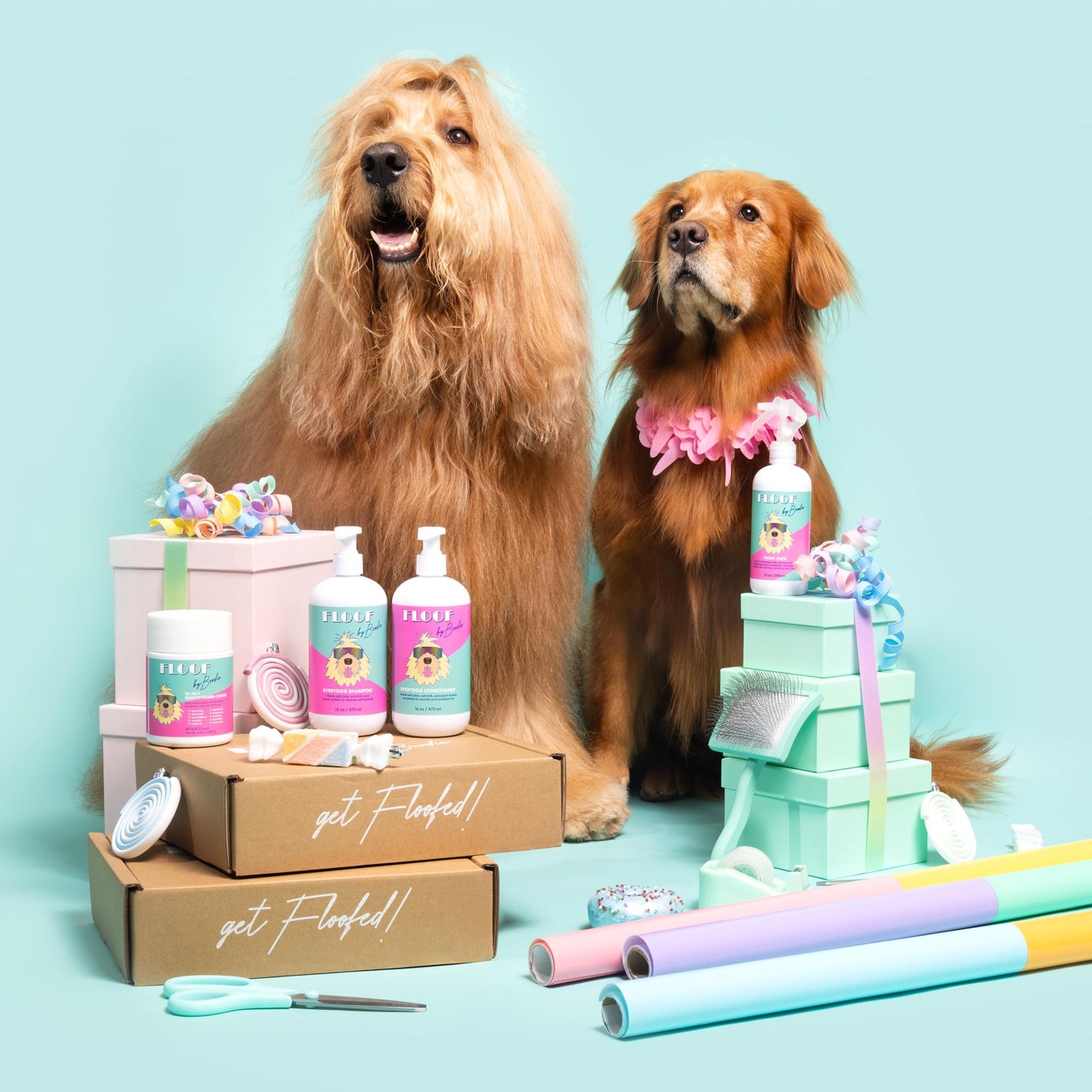 Floof by Brodie Everydog Nourishing and Deodorizing Dog & Cat Shampoo for All Coat Types, Detangles, Soothes with Aloe, Oat Milk, Plant Based Emolients, Pet Grooming Supplies (16oz)