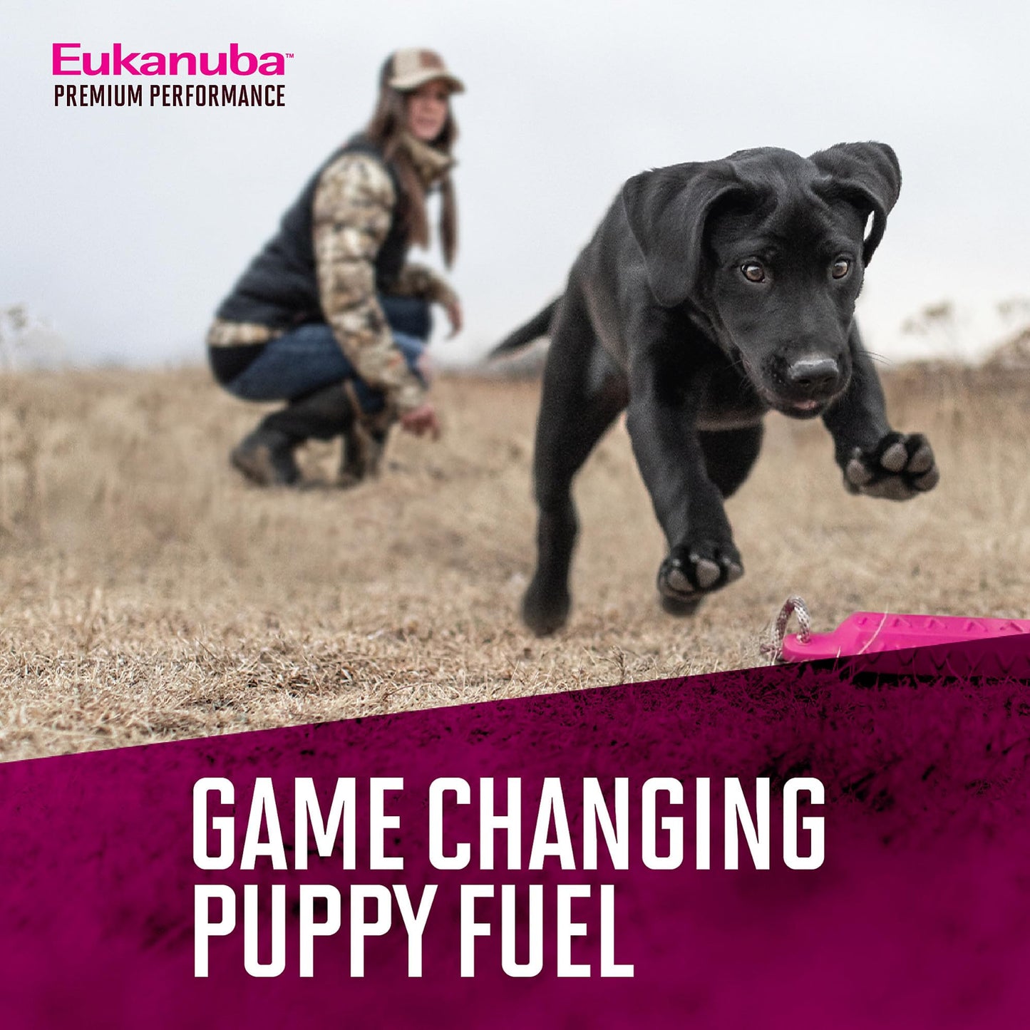 Taste of the Wild Appalachian Valley Small Breed Grain-Free Recipe with Roasted Venison Dry Adult Dog Food, Made with High Protein from Real Venison 14lb