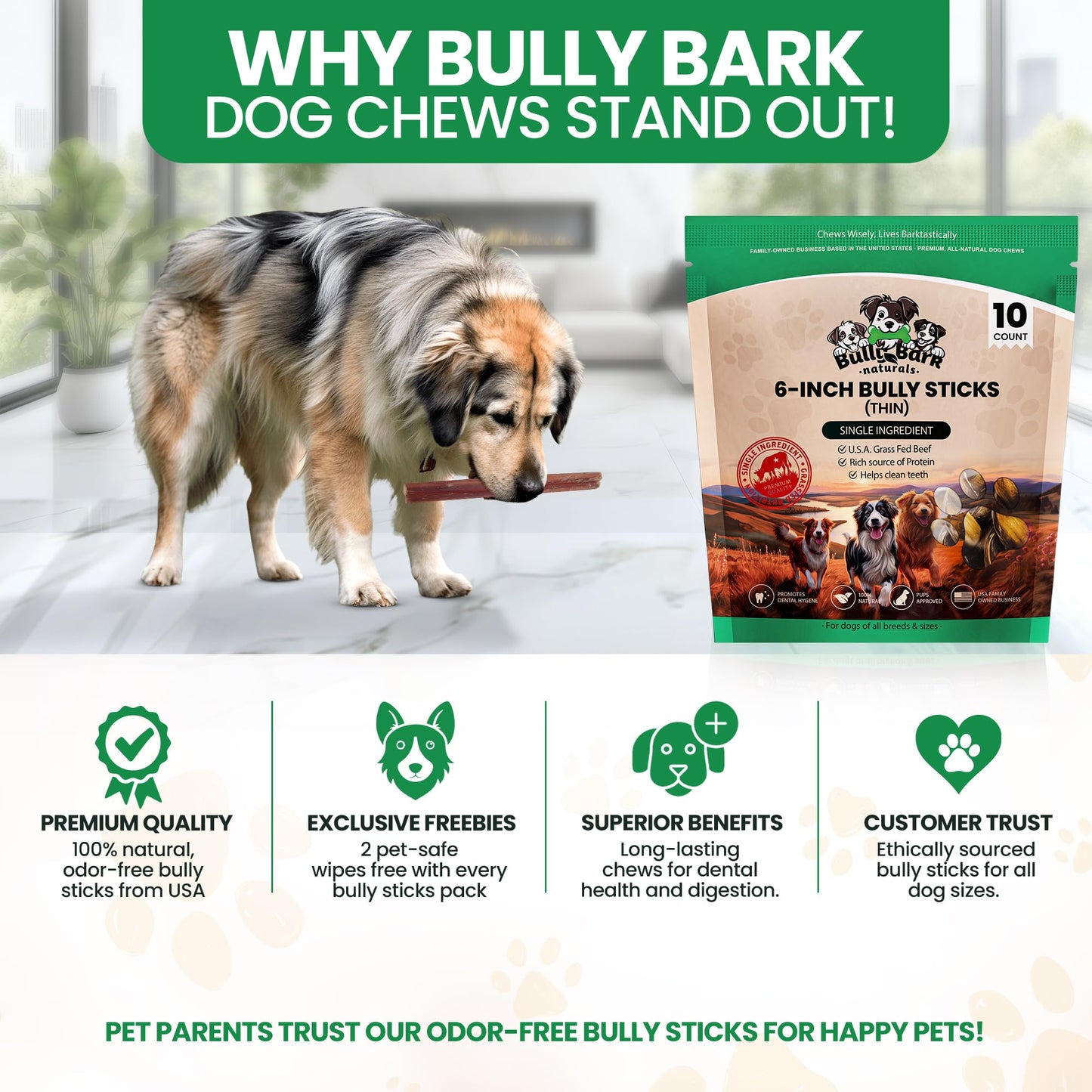 Thin 6” Bully Sticks for Dogs - 10 Count - 100% Natural, Odor Free Grass-Fed Beef Pizzle Sticks for Dogs - Fully Digestible, Rawhide Puppy Bully Sticks for Small & Medium Dog - Free Ear Wipes