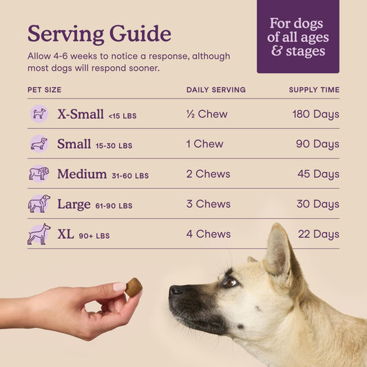 Fera Pets Dog Calming Chews - Anxiety Relief Support - Promotes Relaxation - Ashwagandha & Priome® Mental Wellbeing Postbiotic Blend - 90 Soft Chews