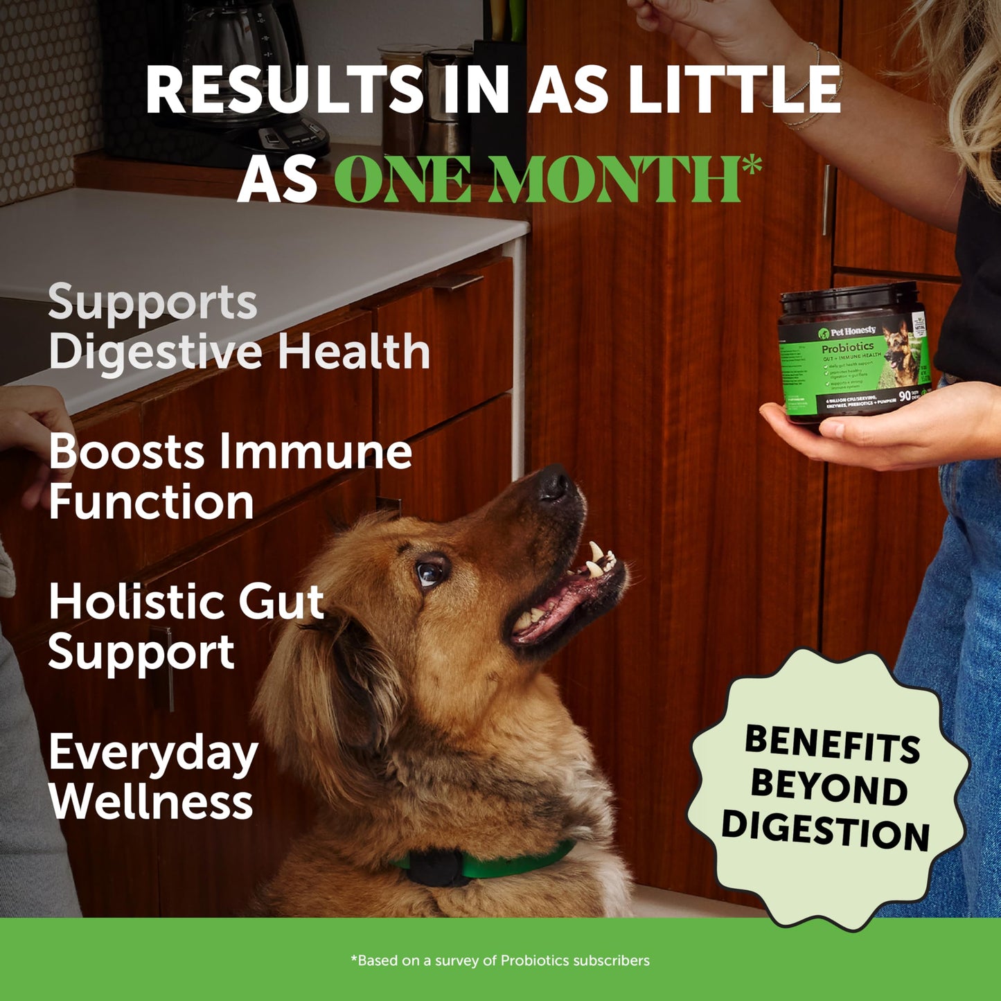 Digestive Probiotics for Dogs + 10 in 1 Multivitamin Soft Chew Supplement Bundle - Dog Vitamins - Probiotics, Pumpkin, Digestive Enzyme for Dogs, Dog Vitamins for Overall Health