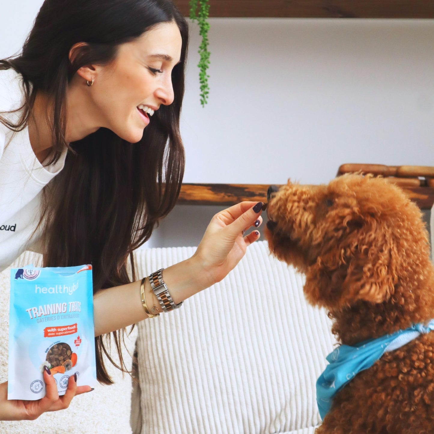 healthybud Mini Dog Training Treats - Beef Liver Soft Trainer Bites, 500+ Bits, 1 kCal per Bite, 6.5oz, Reishi, Lion’s Mane, Salmon Oil, Puppy Chews (3 Pack Beef)