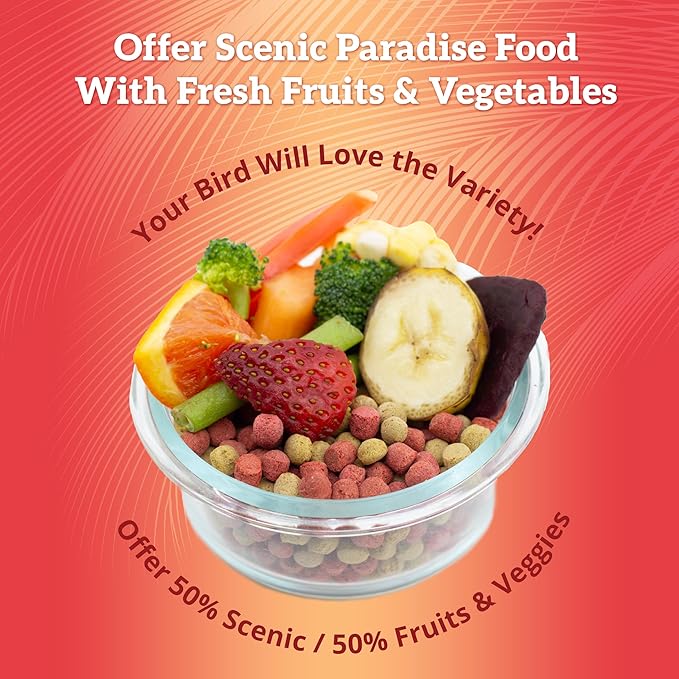 Scenic Mix Paradise Premium Parrot Food - Apple & Natural Flavors, High Protein, Low Iron Conure Bird Food, Eclectus & Other Small Pet Parrots, Omega 3, Vitamins & Minerals, 2 LB Bag