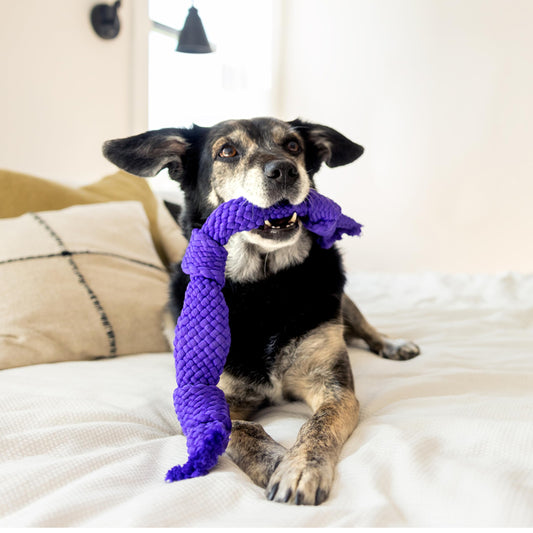 PuraBasis Beef‑Flavored Indestructible Dog Chew Toy – Heavy‑Duty, Non‑Toxic Rubber Bone for Aggressive Chewers – Promotes Dental Health & Anxiety Relief of Dog