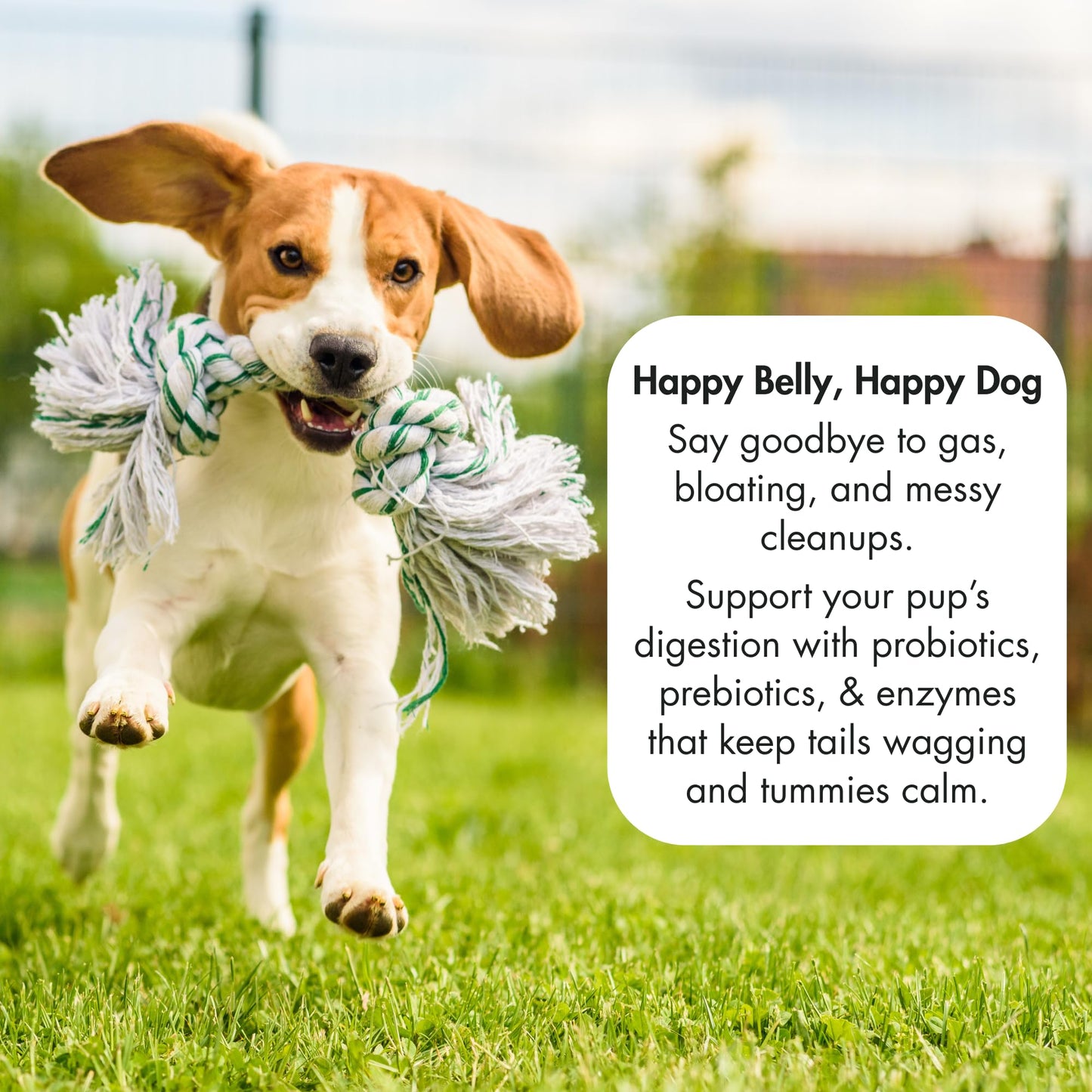Chew No Poo - Coprophagia Treatment for Dogs - Prevent Dog Poop Eating - Natural Stool Eating Deterrent + Breath Aid - Probiotics & Digestive Enzymes - Boosts Gut Health - Made in USA - 120 Soft Chews