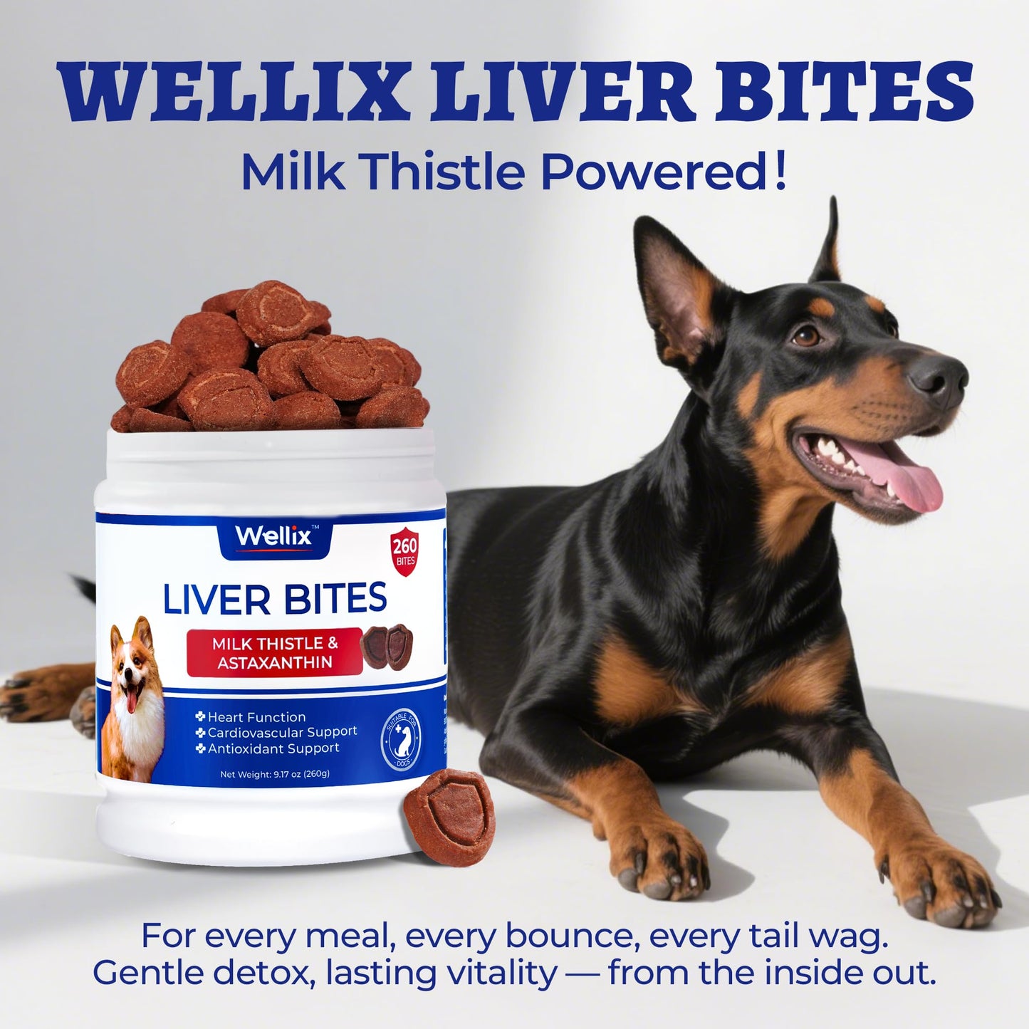 260 Bites Wellix Liver Support for Dogs - Milk Thistle for Dog Liver Supplements with Omega-3 - Supports Heart & Antioxidant for Large,Small Breed Fogs -Chicken Flavor