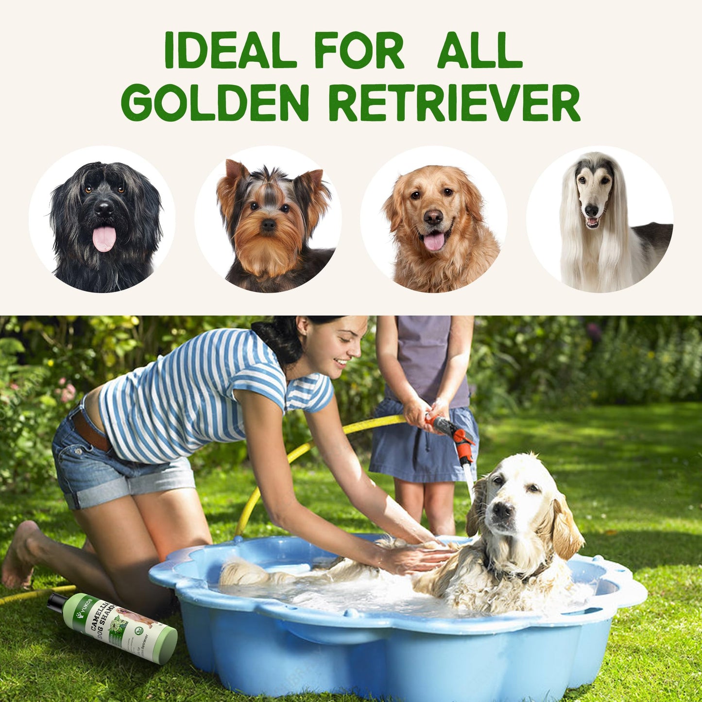 Golden Retriever Shampoo for Sensitive Skin - Natural Camellia Deshedding Pet Shampoo | Allergy & Itch Relief | Reduce Shedding & Odor Control for Smelly Dogs | Botanical Scent |16 oz