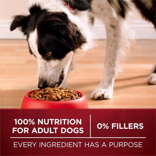 Purina ONE True Instinct High Protein Dry Dog Food Formula with Real Chicken and Duck Natural with Added Vitamins and Minerals Dog Food - 15 lb. Bag