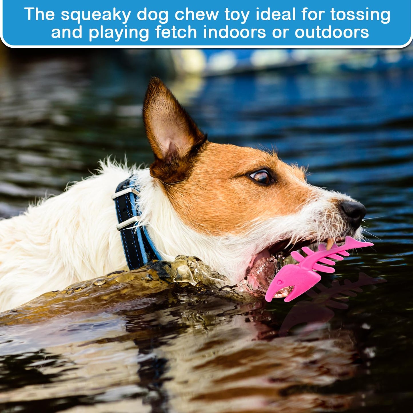 WinnerWhy 4 Pack Floating Dog Toys for Aggressive Chewers Summer Interactive Fetch Games Natural Teeth Cleaning for Small Medium Dogs Shark Dino Fish Starfish Set