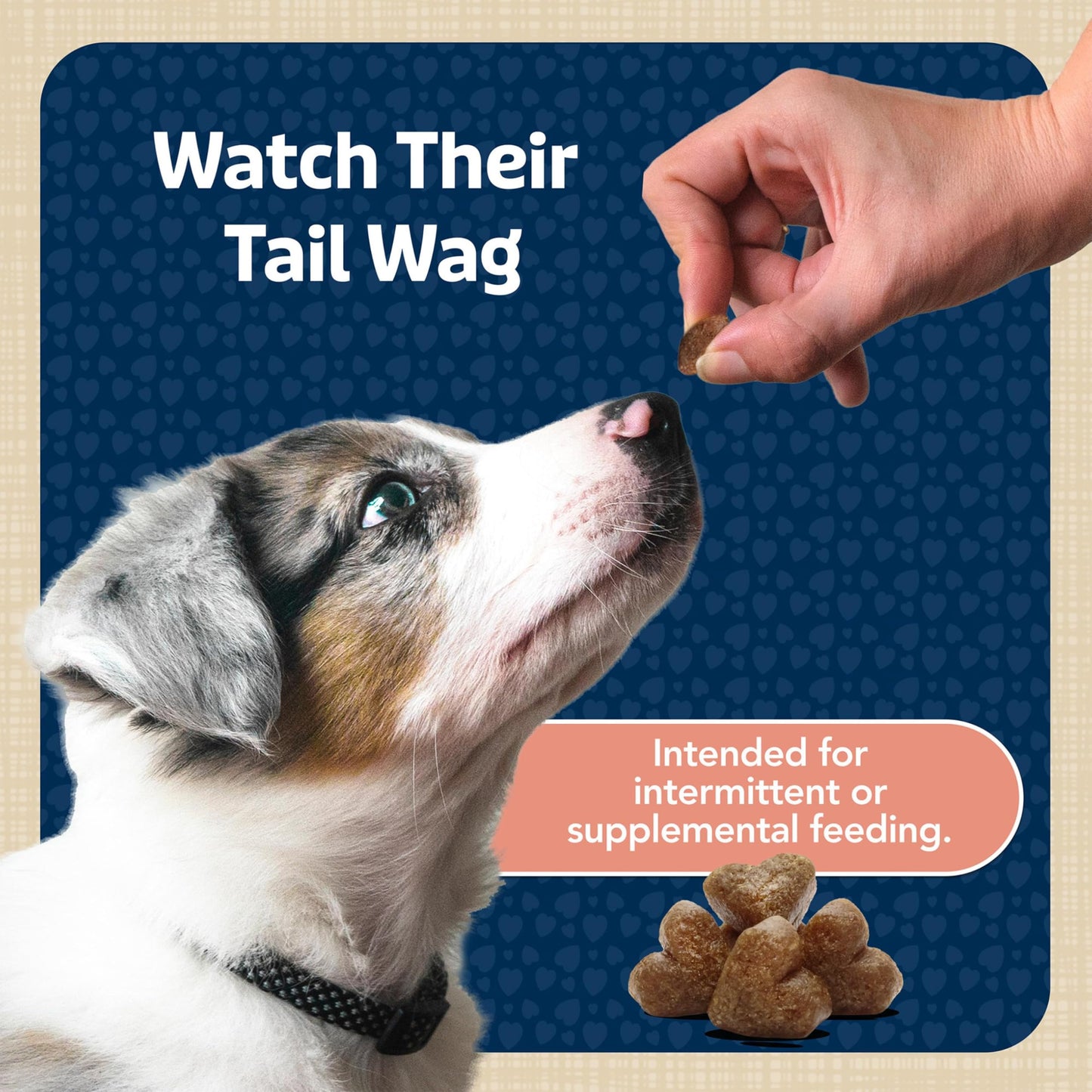 Blue Buffalo Bits Soft Dog Treats for Training, Made with Natural Ingredients & Enhanced with DHA, Salmon Recipe, 4-oz Bag