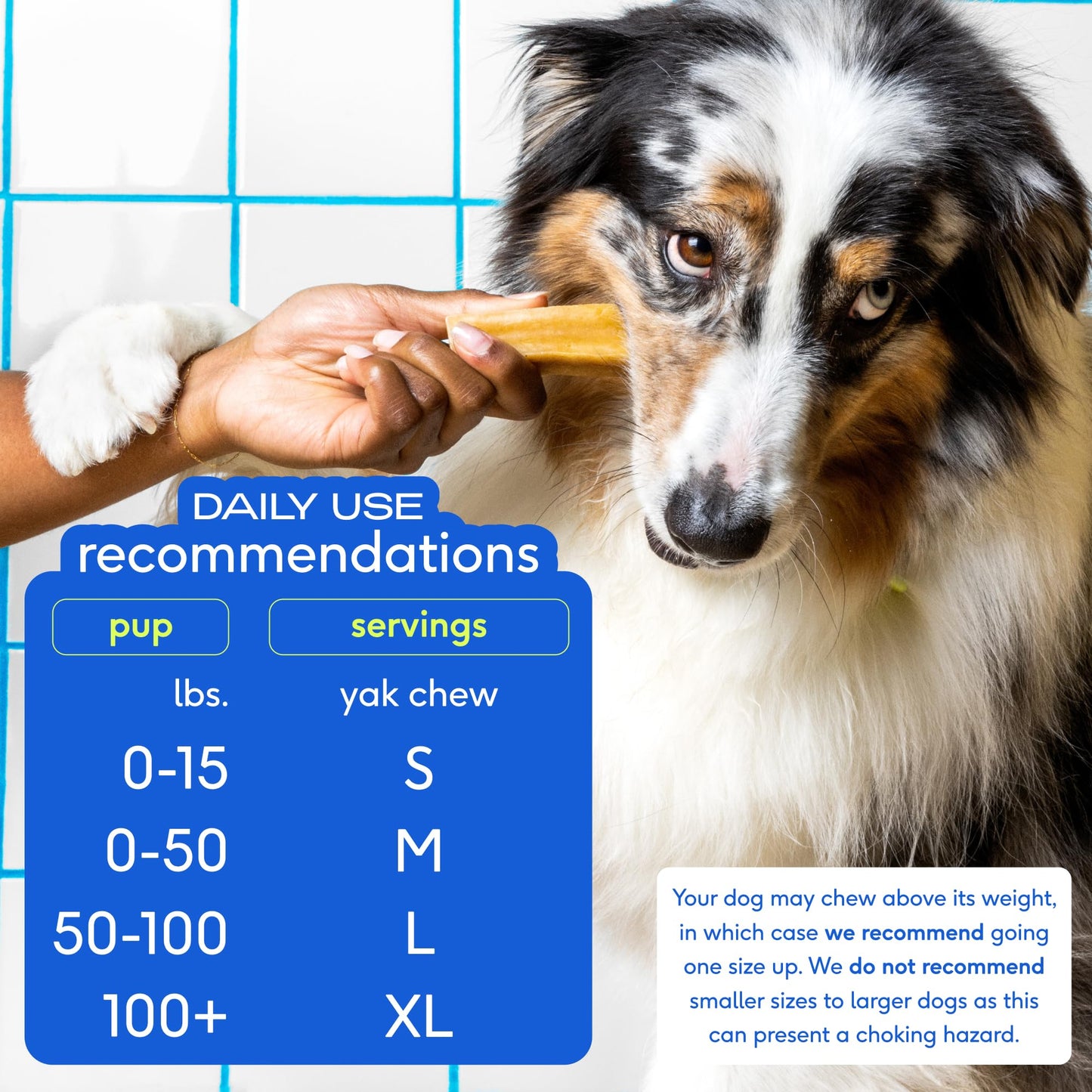 Native Pet Omega Oil for Dogs - Dog Fish Oil Supplements & Yak Chews for Dogs | Pasture-Raised and Organic Yak Cheese Himalayan Churpi Chews | 8 Oz. & 3 XL Yak Chews