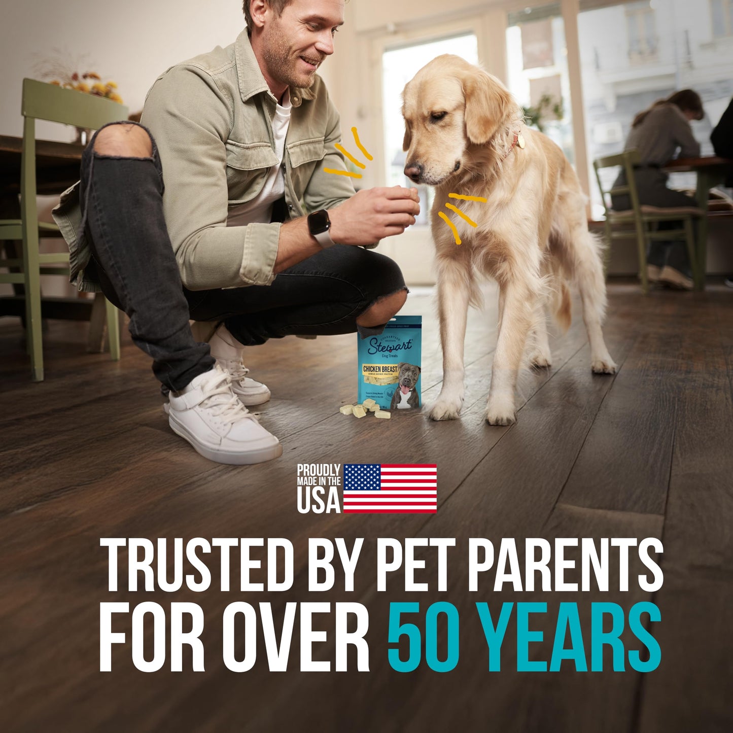 Stewart Single Ingredient Freeze Dried Raw Dog Treats, Chicken Breast, 3 Ounce, Approx. 55 Pieces per Resealable Pouch, Training Treats or Meal Topper, High Protein, Grain Free, Gluten Free