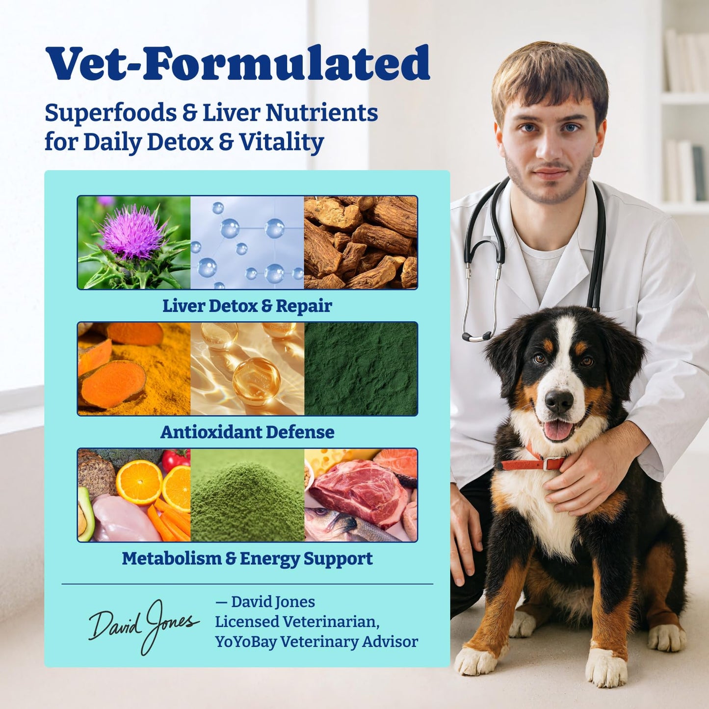 Milk Thistle Liver Support Chews for Dogs – Soft Chews with NAC, Curcumin, Choline & Dandelion – Supports Liver Function, Antioxidant Defense & Immune Health – Duck & Pear Flavor – 120 Count