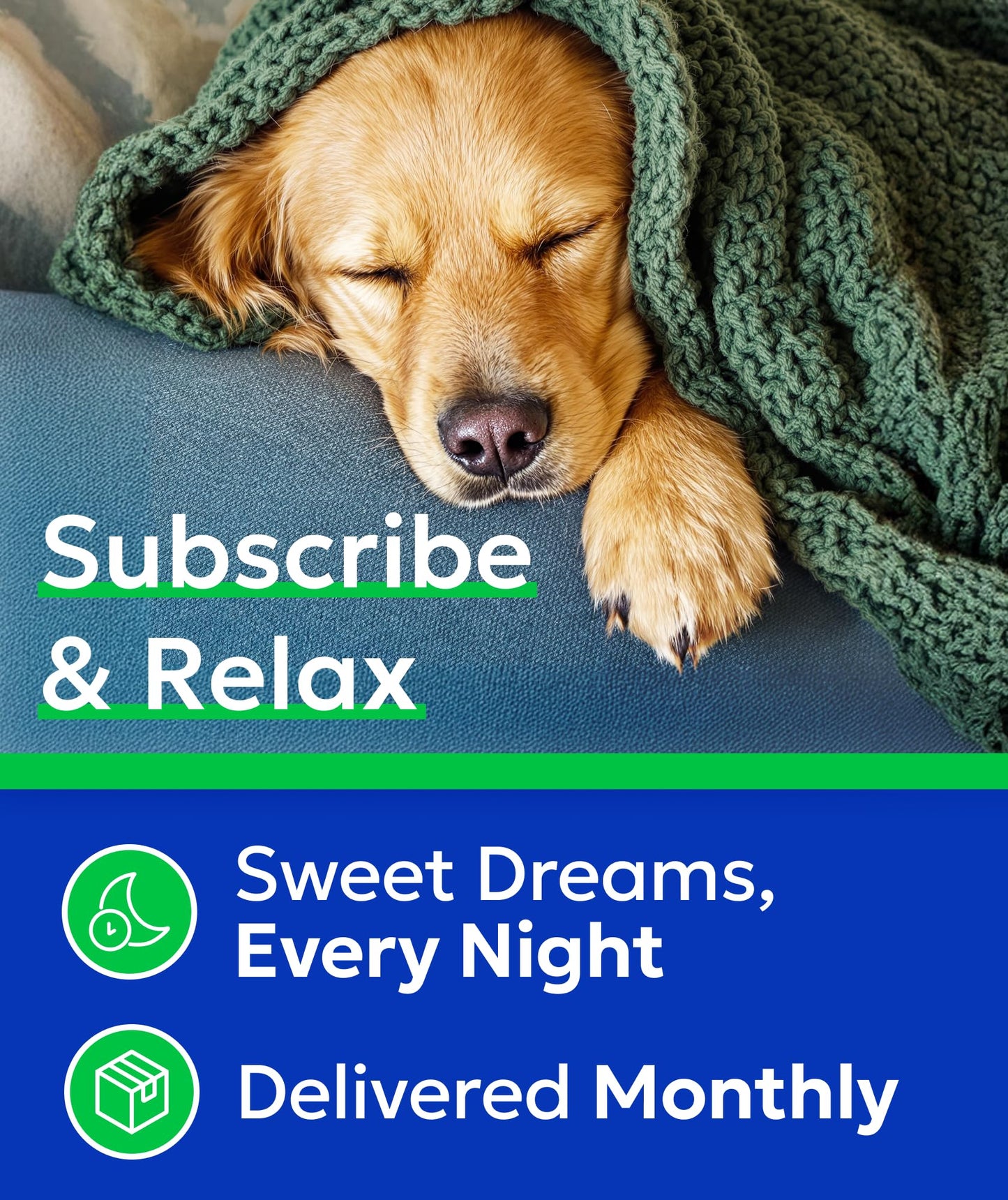 BARK&SPARK Advanced Calming Chews for Dogs - Hemp Chew + Melatonin - Anxiety Relief - Sleep Aid - Relaxing Treats - Stress Relief During Fireworks, Storms, Thunder, Barking - Made in USA - BBQ - 60Ct