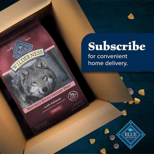 Blue Buffalo Wilderness Natural High-Protein Dry Food for Adult Dogs, Salmon Recipe, 4.5-lb. Bag