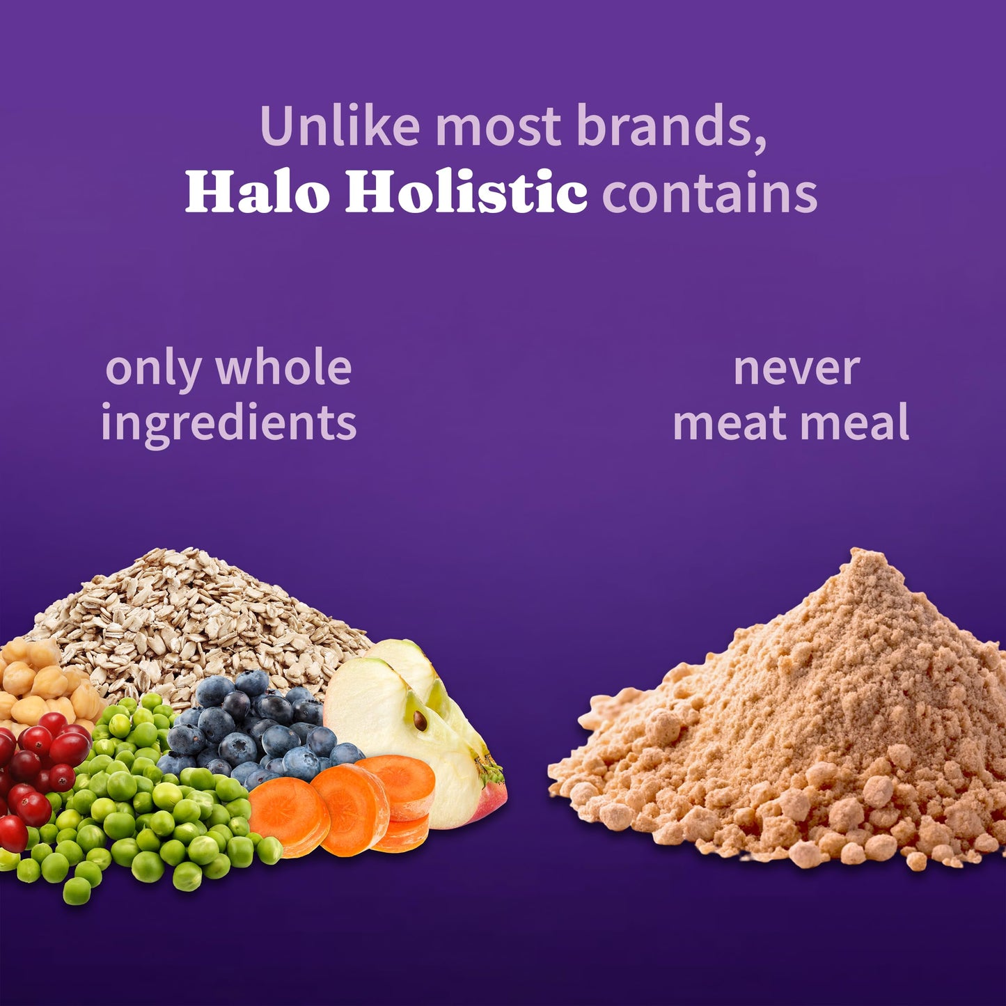 Halo Holistic Vegan Dog Food, Plant-Based Recipe with Kelp, Dry Dog Food, Complete Digestive Health, Kibble for Adult Dogs, 3.5 lb Bag