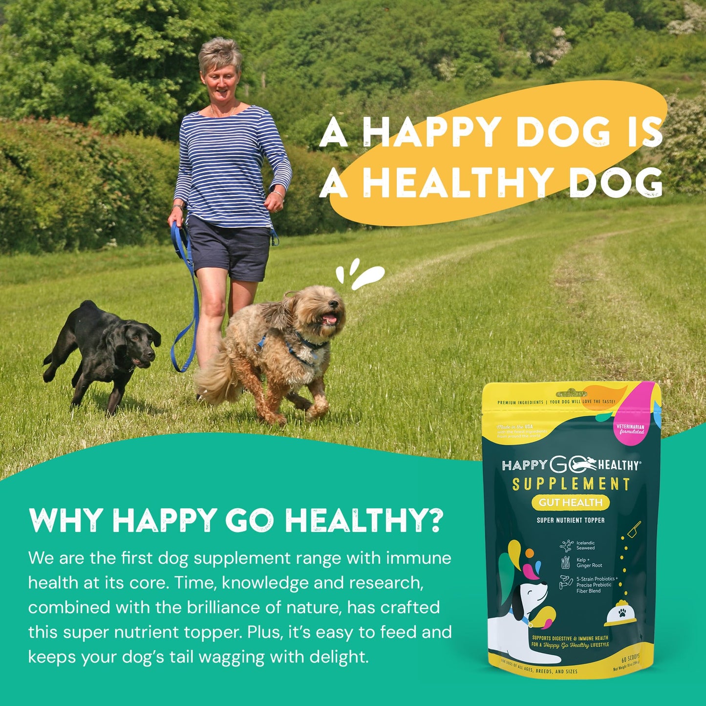 Happy Go Healthy Dog Gut Health Probiotics Supplement | Improves Digestive Health and Immune System Support for Dogs and Puppies | All Natural Ingredients Tasty Kibble Dog Food Topper | 60 Count Pack