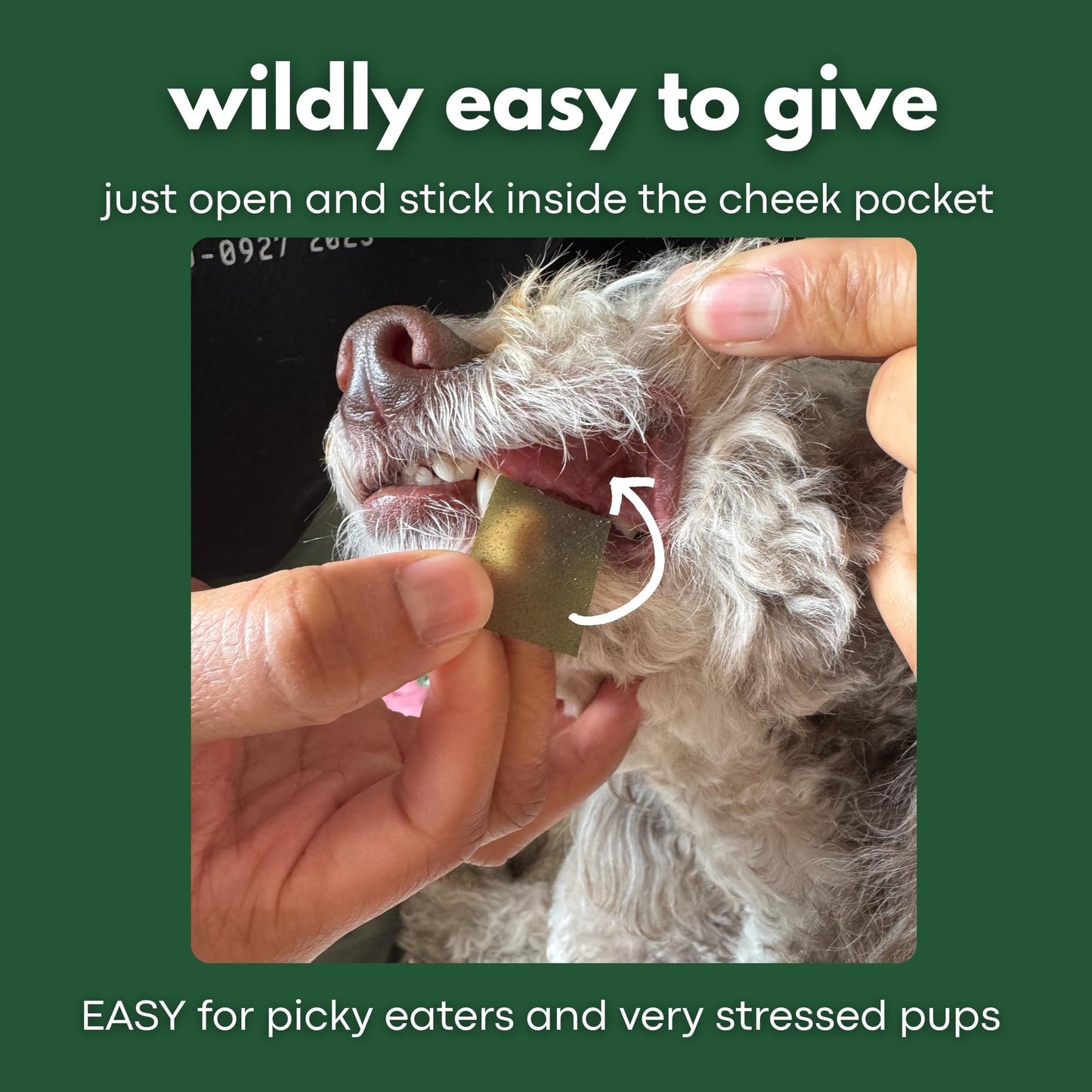 PetPax Co. ZenMelts Dogs Anxiety Relief Calming 5 Strips only - Anti Anxiety for Dogs During Fireworks, Storms & Separation - Non-Drowsy Tasty Dog 5 - Melt