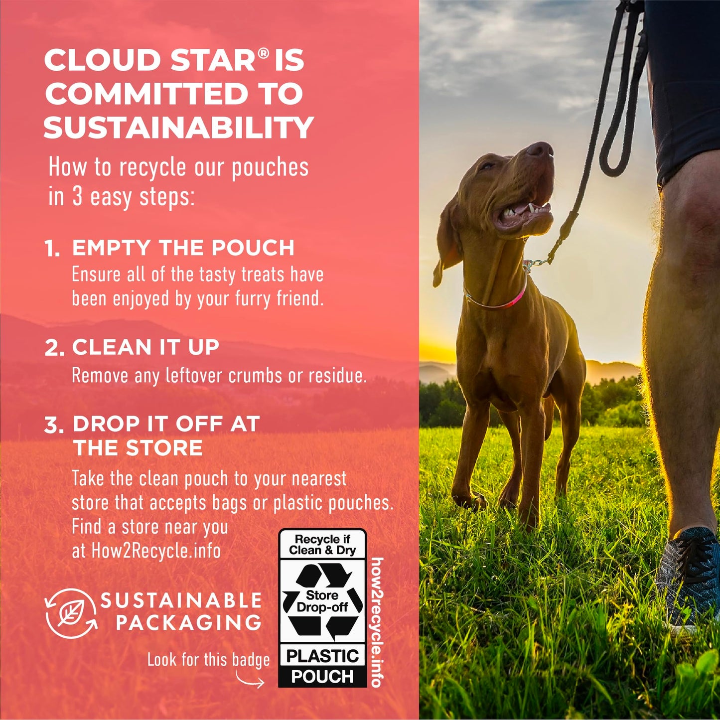 Cloud Star Dynamo Dog Skin & Coat Soft Chews Grain Free Dog Treats, Salmon, 14 oz. Pouch