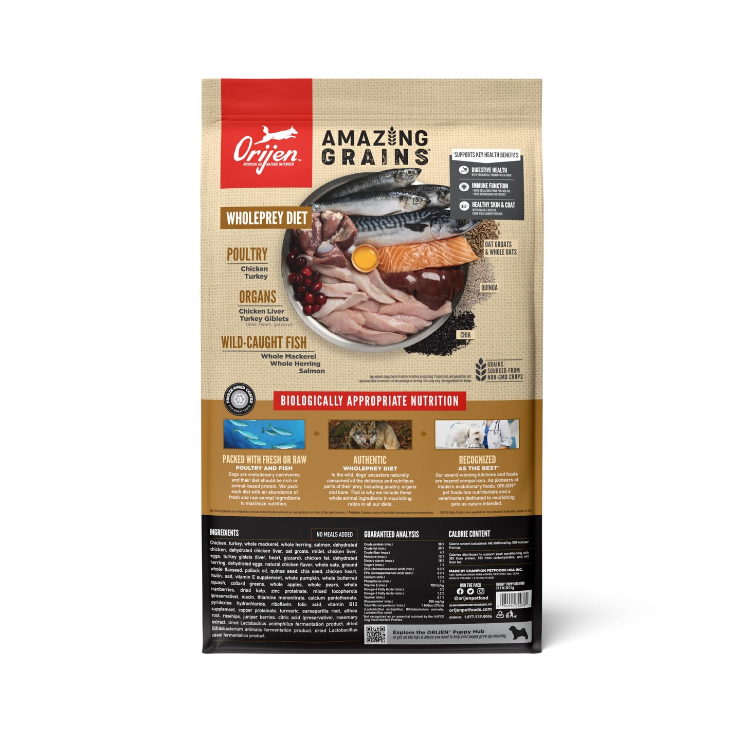 ORIJEN Amazing Grains High Protein Dry Dog Food Puppy Recipe 22.5lb Bag