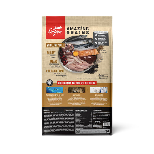 ORIJEN Amazing Grains High Protein Dry Dog Food Puppy Recipe 22.5lb Bag