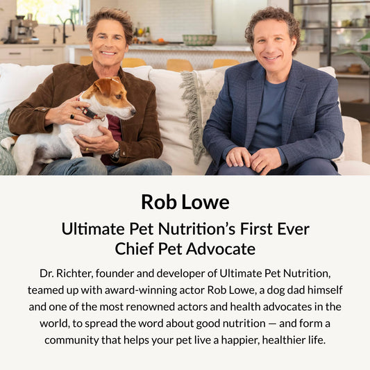 ULTIMATE PET NUTRITION Nutra Complete Freeze Dried Raw Dog Food 1 Pound Beef and Nutra Minis Beef Air Dried Treats for Dogs Bundle