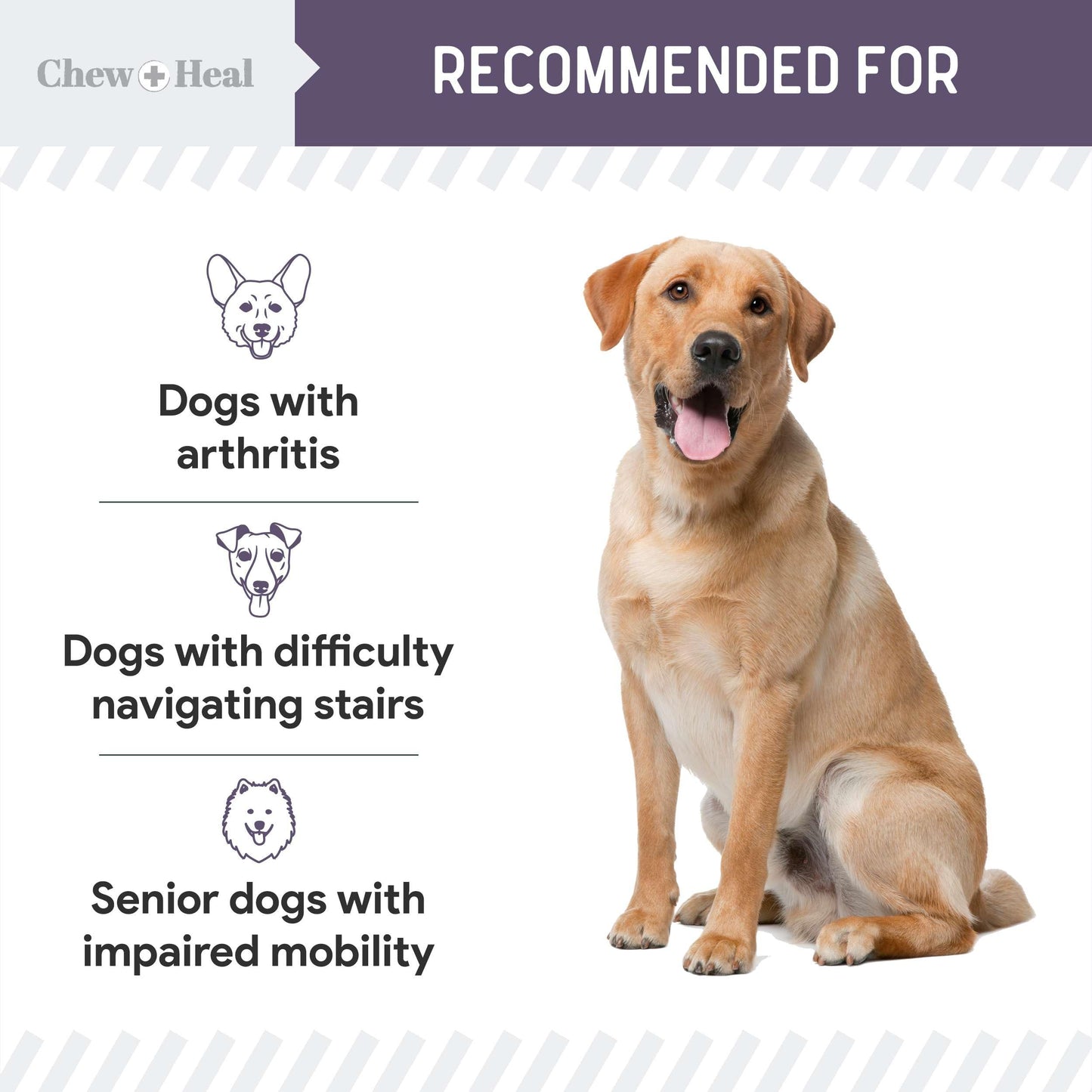 Mobility and Vitality Supplement for Senior Dogs - 120 Tablets for Senior Dog Wellness and Pain Reliever - Made with Glucosamine, MSM, Yucca, and More for Hip and Joint Support - Made in the USA