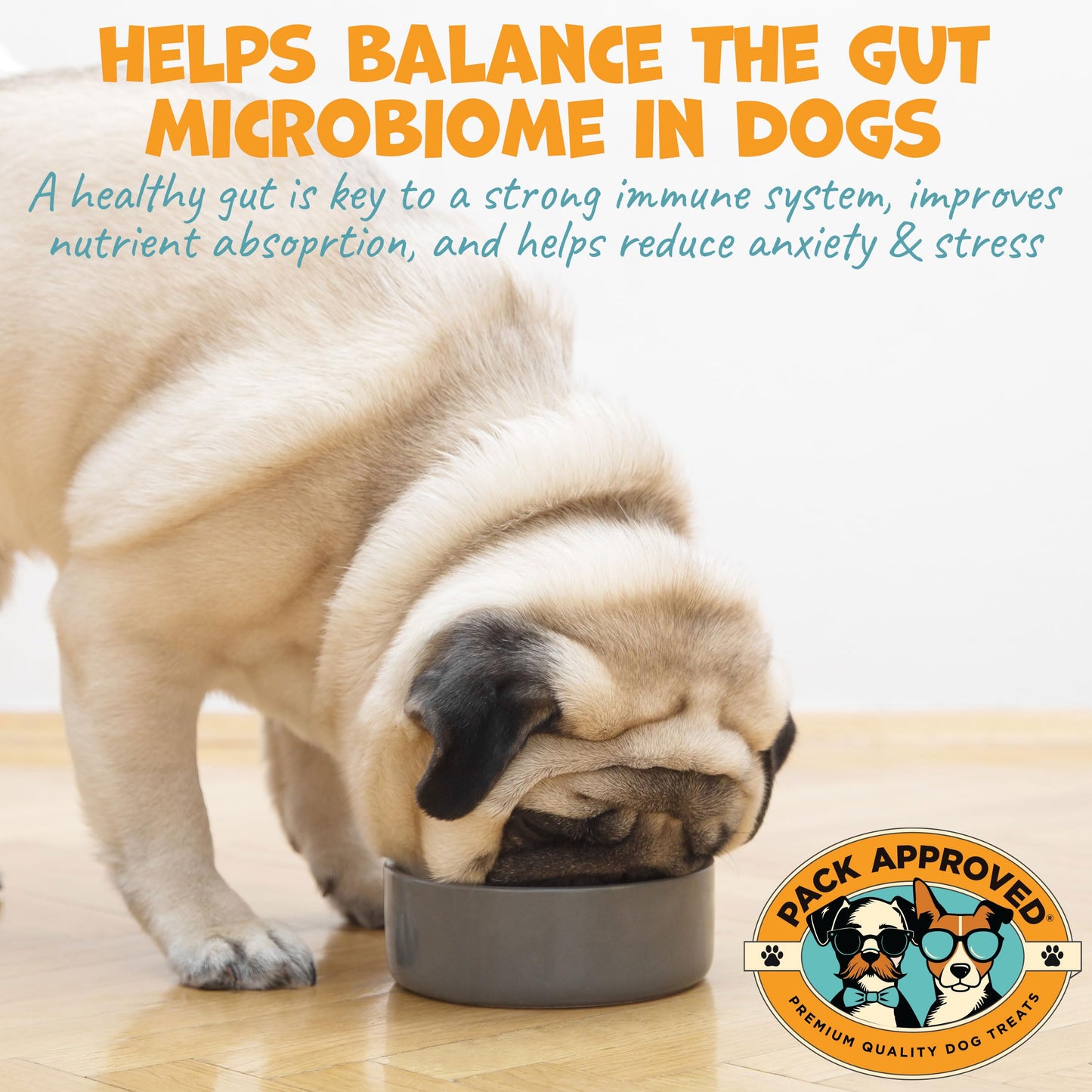Pack Approved Dog Peanut Butter - with Prebiotic and Probiotic for Dogs to Boost Gut Health - Supports Digestive Support and Immune Support - Peanut Butter Treats - Gut Health (8.46oz)