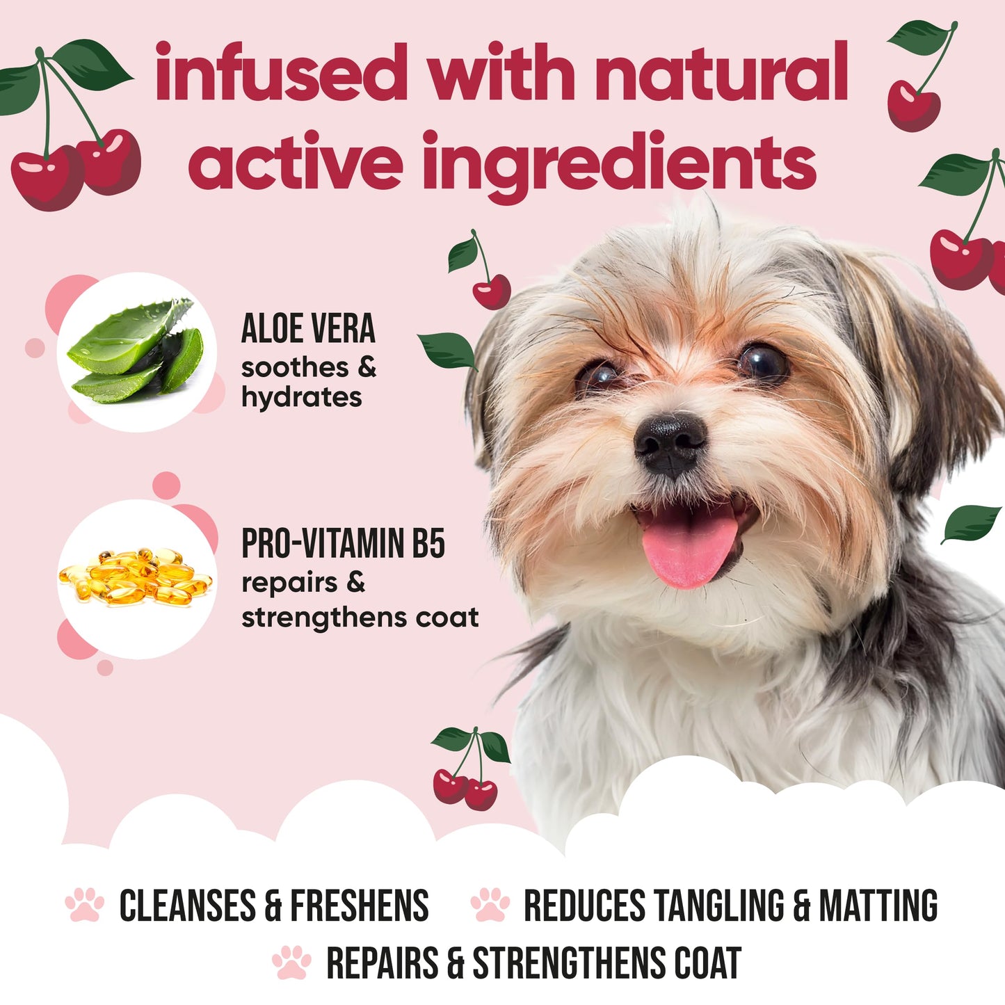 Black Cherry Dog Shampoo by Buddycare | Dry Skin & Itchy Skin Relief for Smelly Dogs | Deep Cleansing for Dogs Puppy Sensitive Skin | Dog Shampoo & Conditioner | with Aloe & Vitamin B5 (16.90oz)