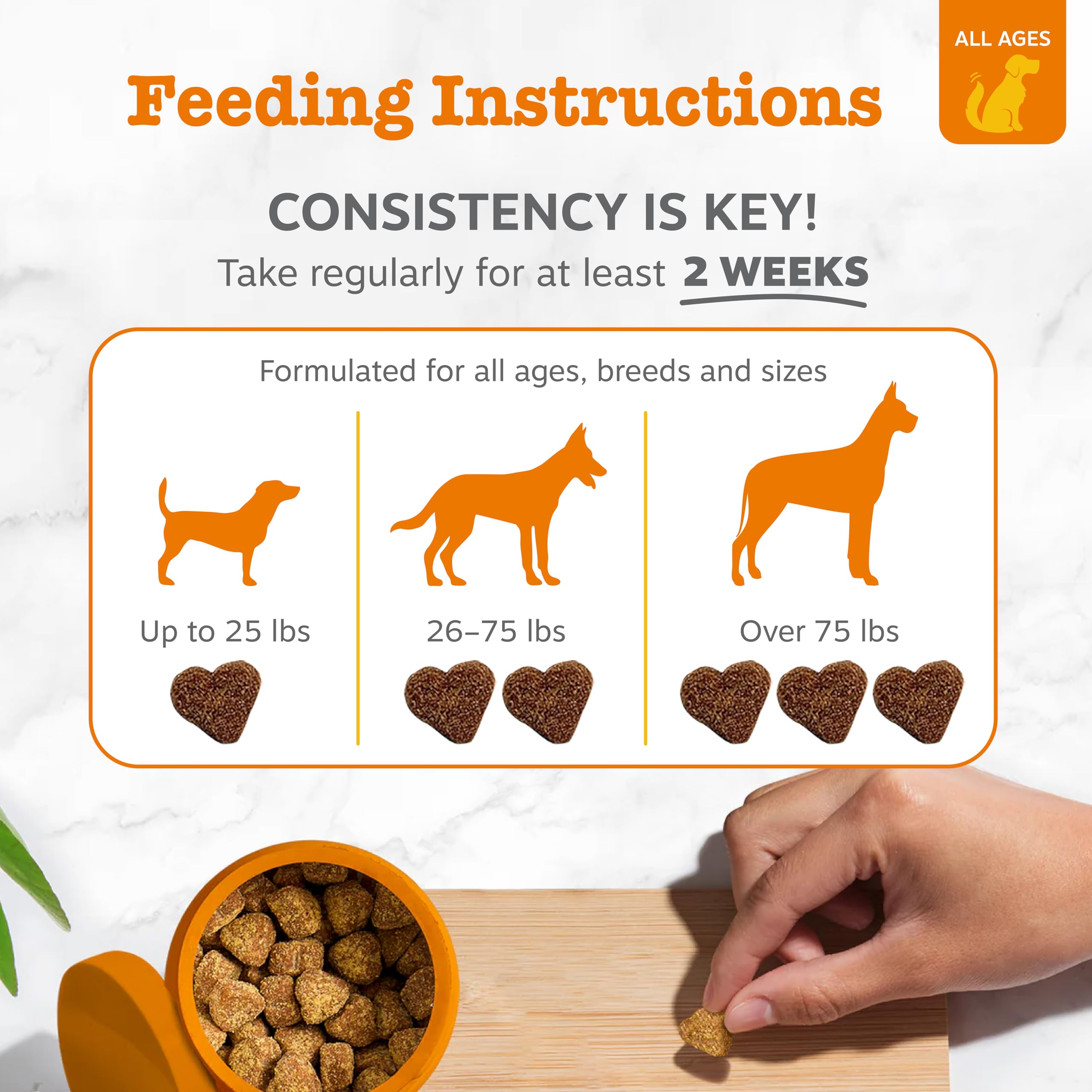 Zesty Paws Liver Support Supplement for Dogs - with Milk Thistle Extract, Turmeric Curcumin, Choline - Soft Chew Formula - for Dog Liver Function