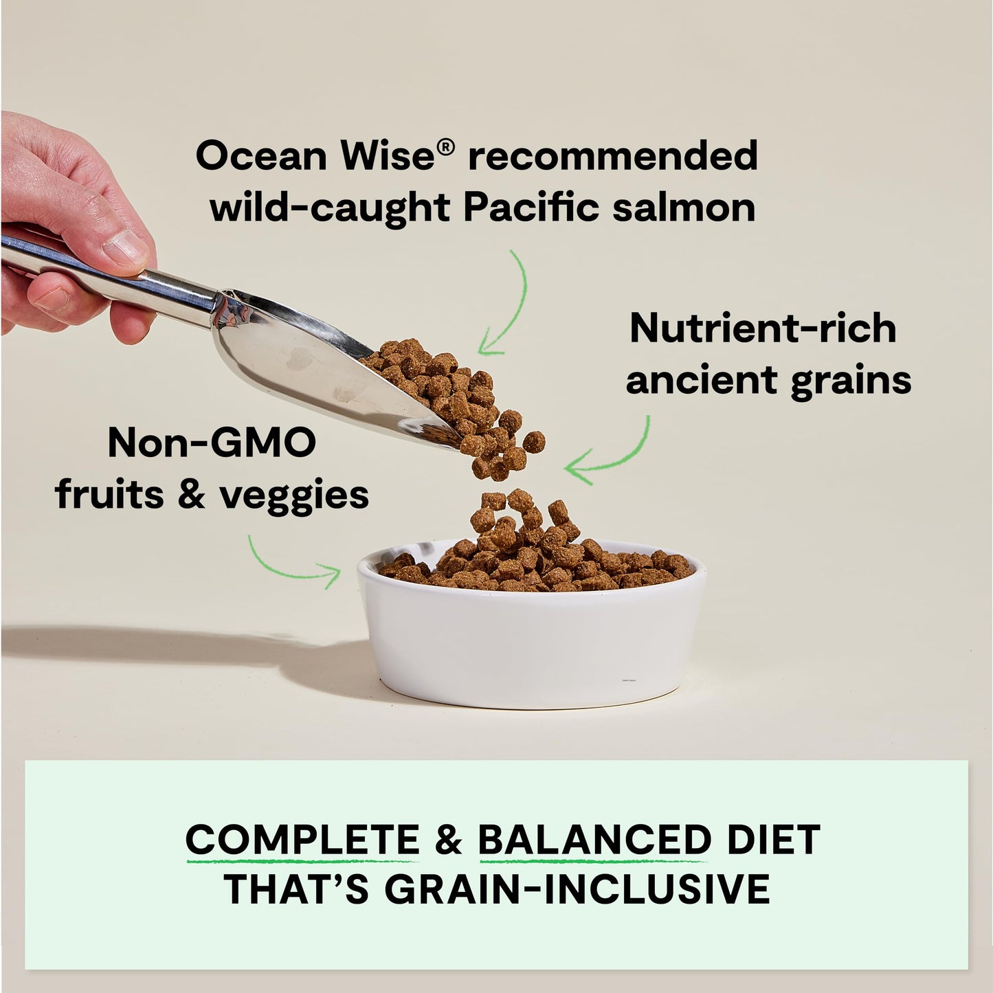 Open Farm, Ancient Grains Dry Dog Food, Protein-Rich & Nutrient Dense, 90% Animal Protein Mixed with Non-GMO Fruits, Veggies and Superfoods, Wild Caugh Salmon Recipe, 22lb Bag