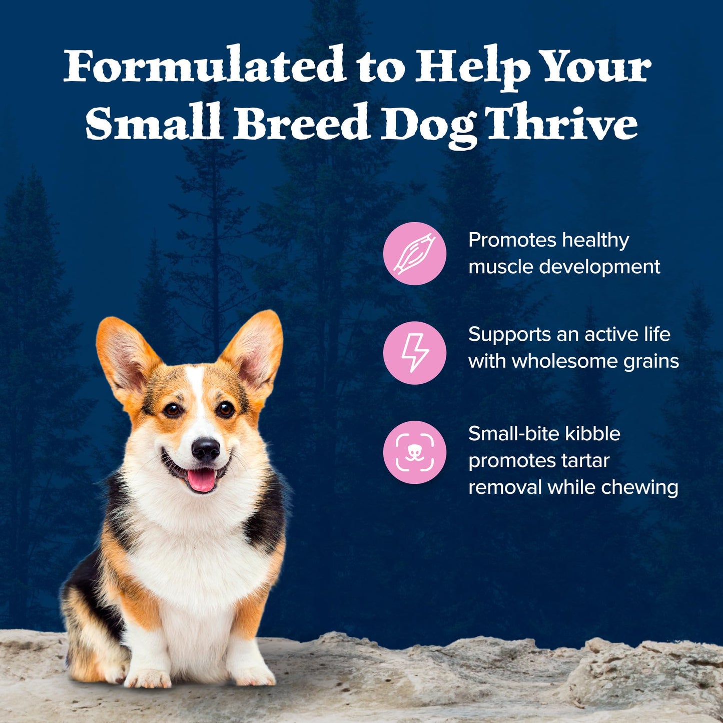 Blue Buffalo Wilderness Adult Small Breed Dry Dog Food Real Chicken with Natural Ingredients