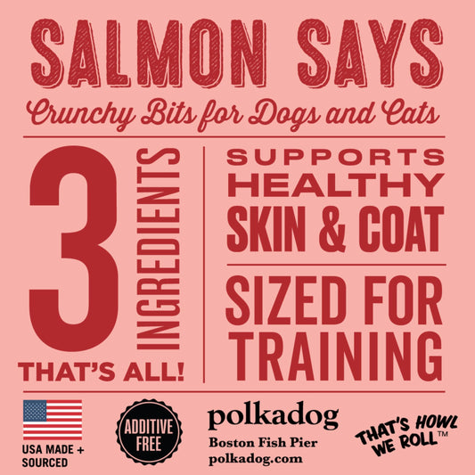 Polkadog Salmon Says Training Bits - Omega-3 Rich, Low Fat Healthy Dog Treat - Digestible, Vitamin & Mineral Packed Dog Snacks - Crunchy 3-Ingredient Treat, Ideal for Dogs with Allergies - 7oz