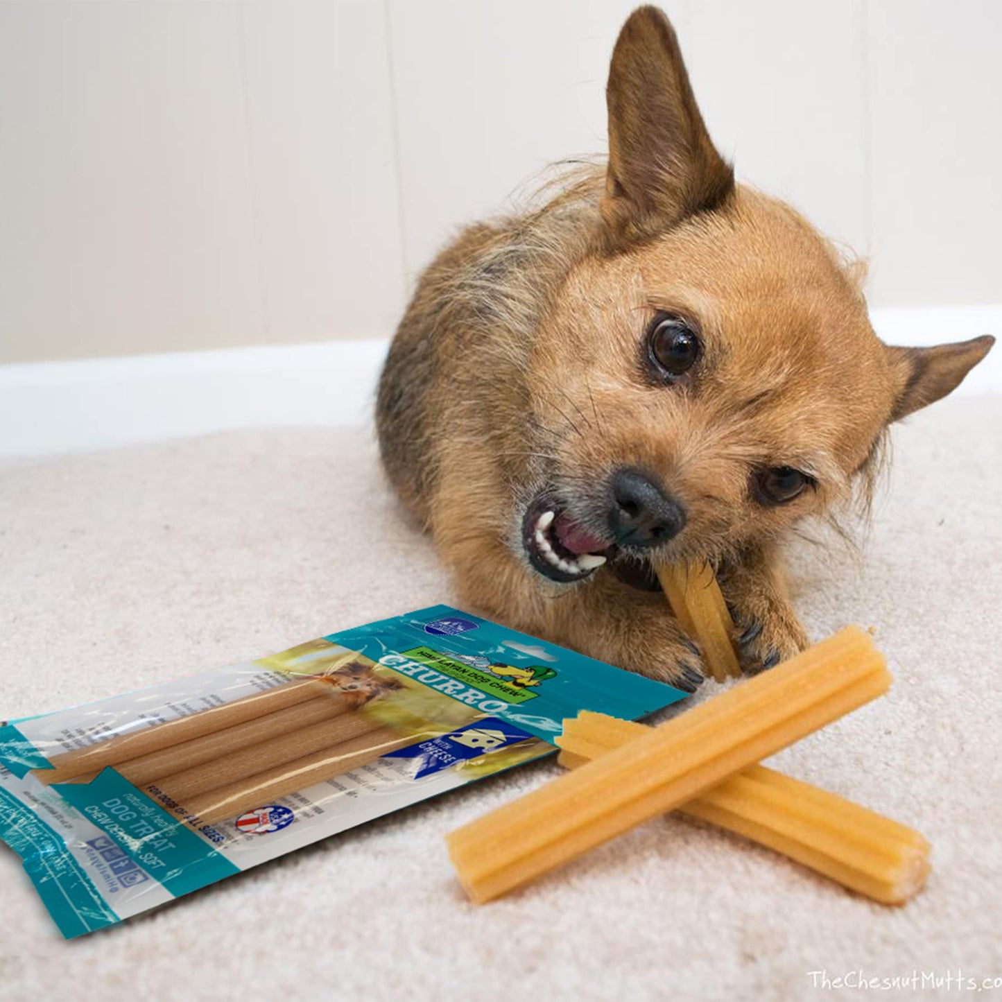 Himalayan Pet Supply Churro Cheese Treats | Lactose Free - Gluten Free - Grain Free | USA Made | All Breeds | 13 Churros | Real Himalayan Cheese