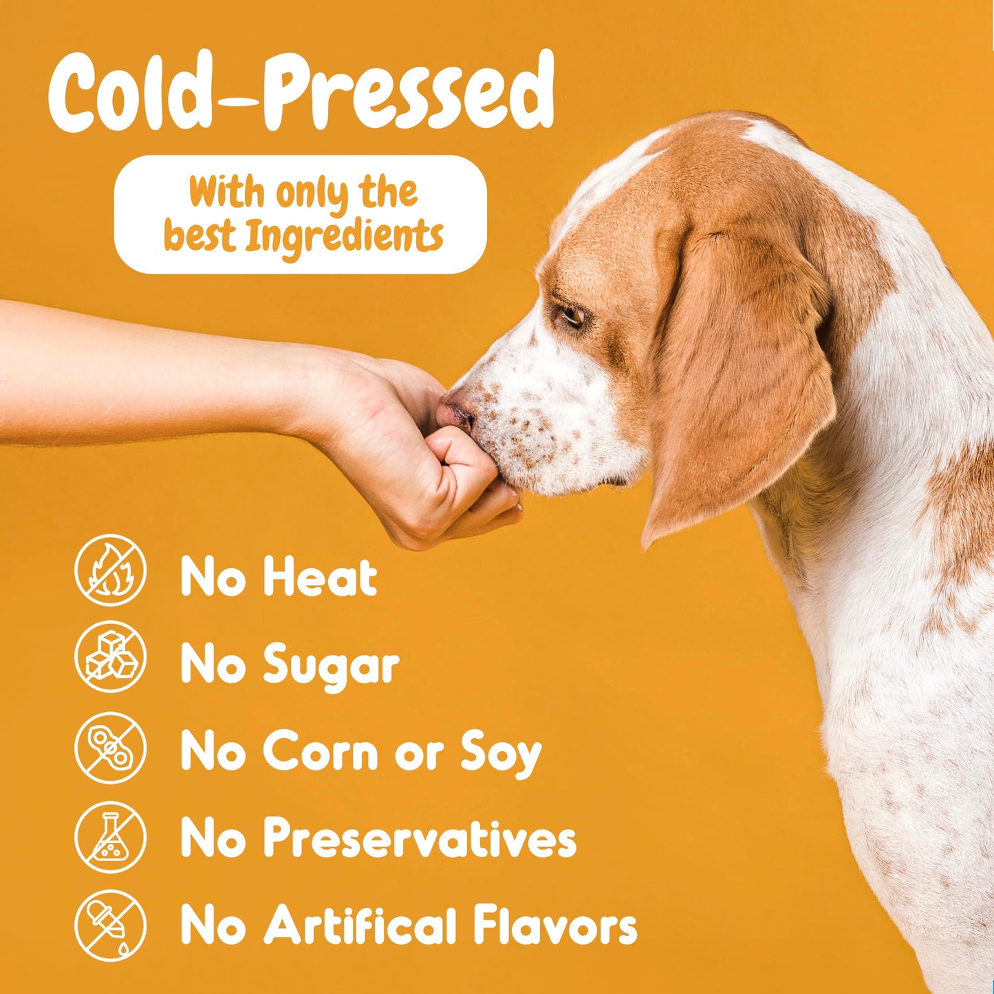 INNER PAW Hemp Calming Chews for Dogs - Dog Calming Chews - Anxiety Relief Treats - Chamomile - Hemp Oil - Calming Aid - Stress - Sleep - Separation Anxiety - Travel - Natural Dog Calming Treats - 60
