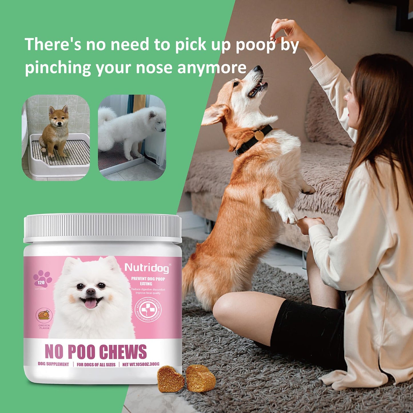 NutriDog No Poo Chews for Dogs - 120 Ct Chicken Flavor - Coprophagia & Stool Eating Deterrent with Probiotics, Digestive Enzymes & Breath Aid - Stop Dog Poop Eating - Gut Health (Chicken)