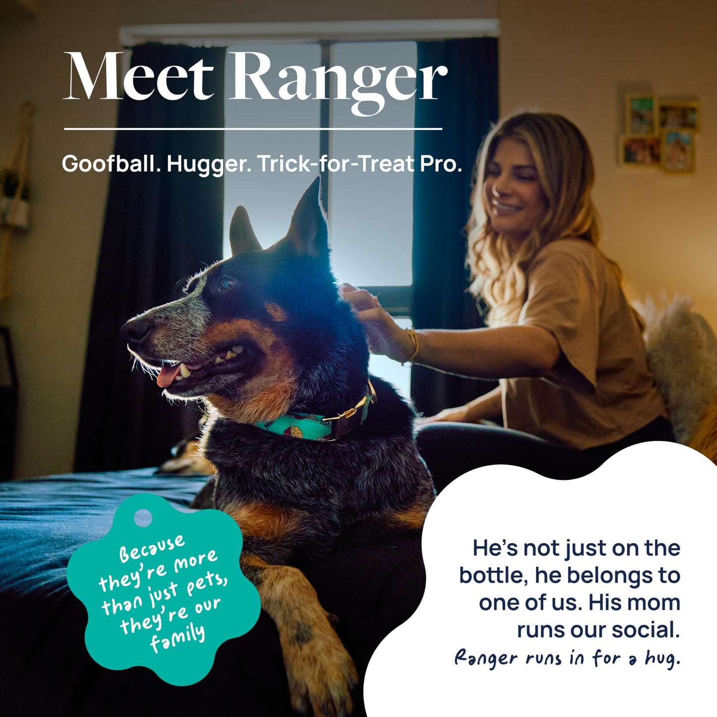 Veterinary Formula Dental Health Supplement for Dogs – Vet-Formulated Chews with EpiCor® & Kelp – Smart Vitality Supports Plaque, Tartar, Breath & Oral Health, 60 Soft Chews