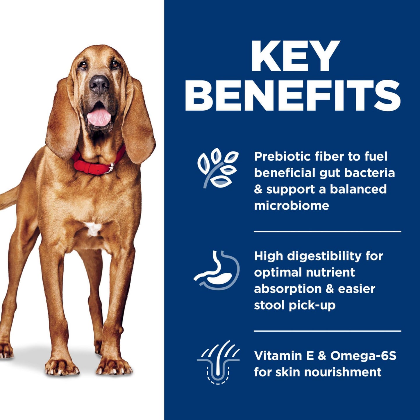 Hill's Science Diet Sensitive Stomach & Sensitive Skin Large Breed Adult Dry Dog Food 1-5, Prebiotic Fiber to Support Digestive Health, Chicken Recipe, 30 lb. Bag
