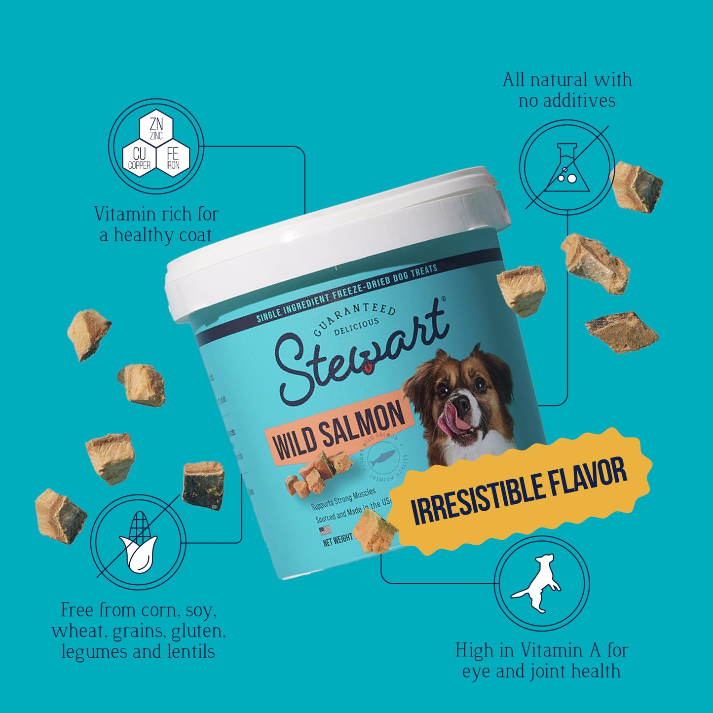 Stewart Single Ingredient Freeze Dried Raw Dog Treats, Wild Salmon, 2.75 Ounce, Approx. 55 Pieces per Resealable Tub, Training Treats or Meal Topper, High Protein, Grain Free, Gluten Free