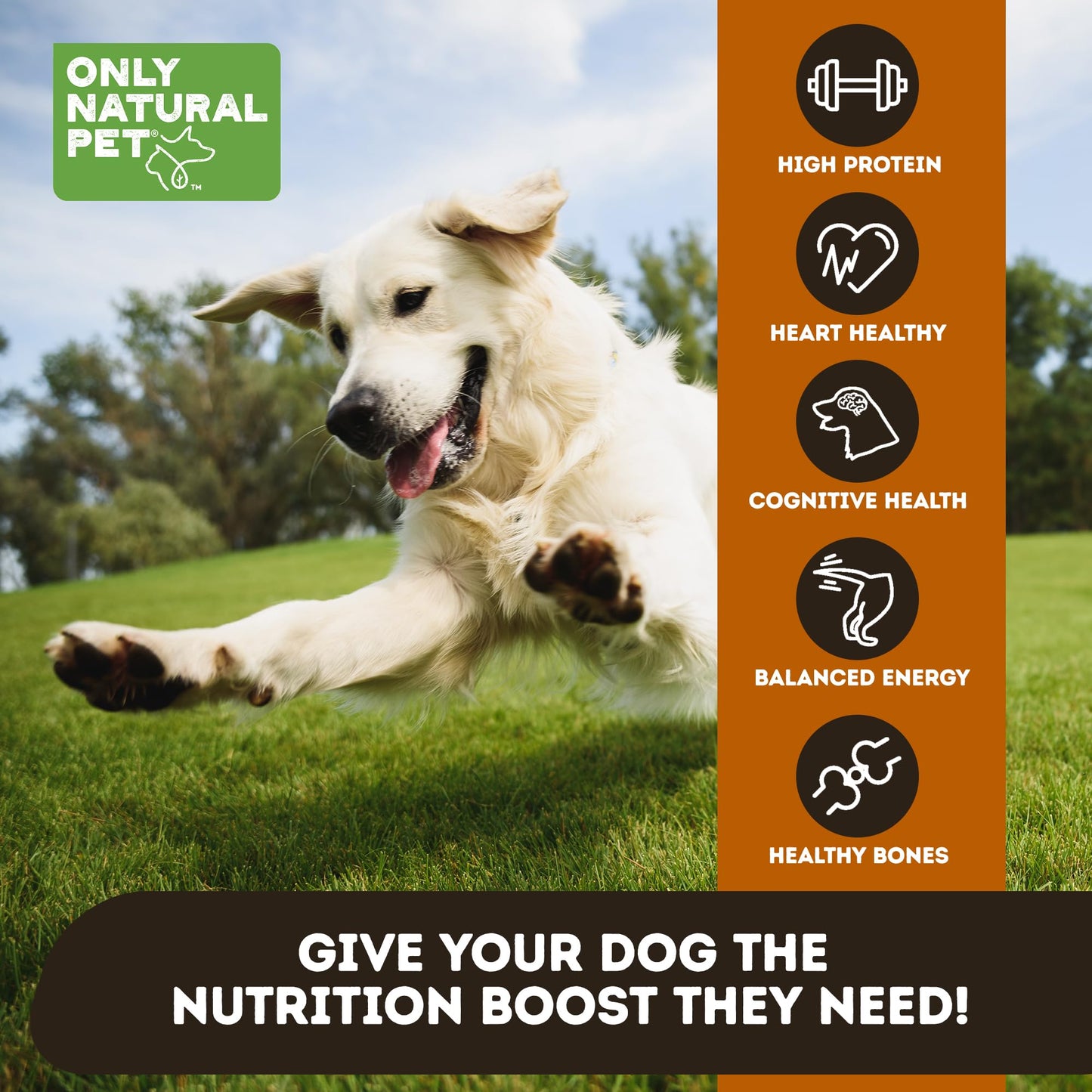 Bundle of ZEAL Canada Air-Dried Dog Food - High Protein, Natural Superfoods, Nutrient Rich, No Fillers, Grain Free, Complete & Balanced (Beef 1lb+Chicken 1lb)